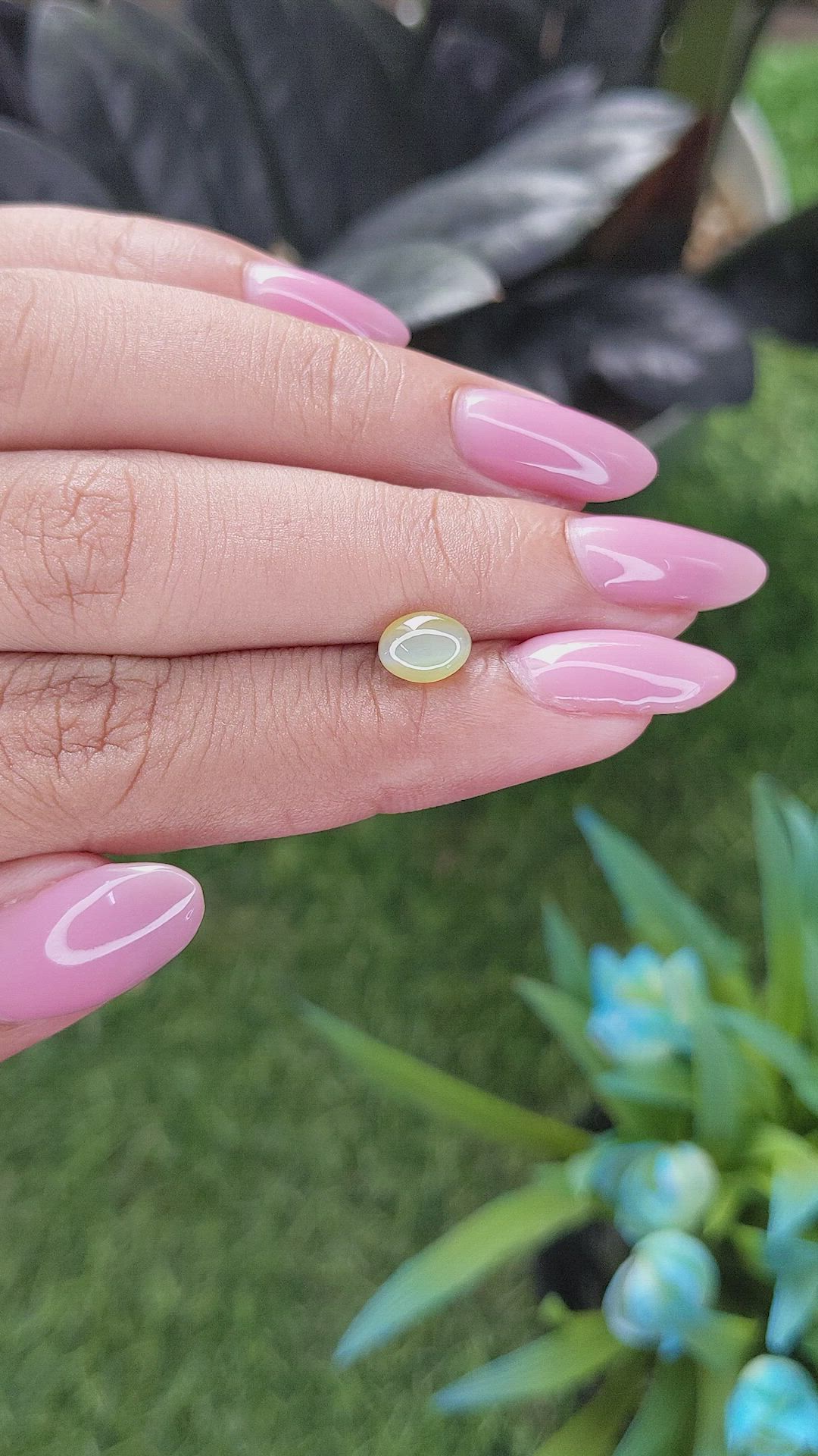 1.37 Ct. Greenish Yellow Cabochon Chrysoberyl from Tanzania Size Video