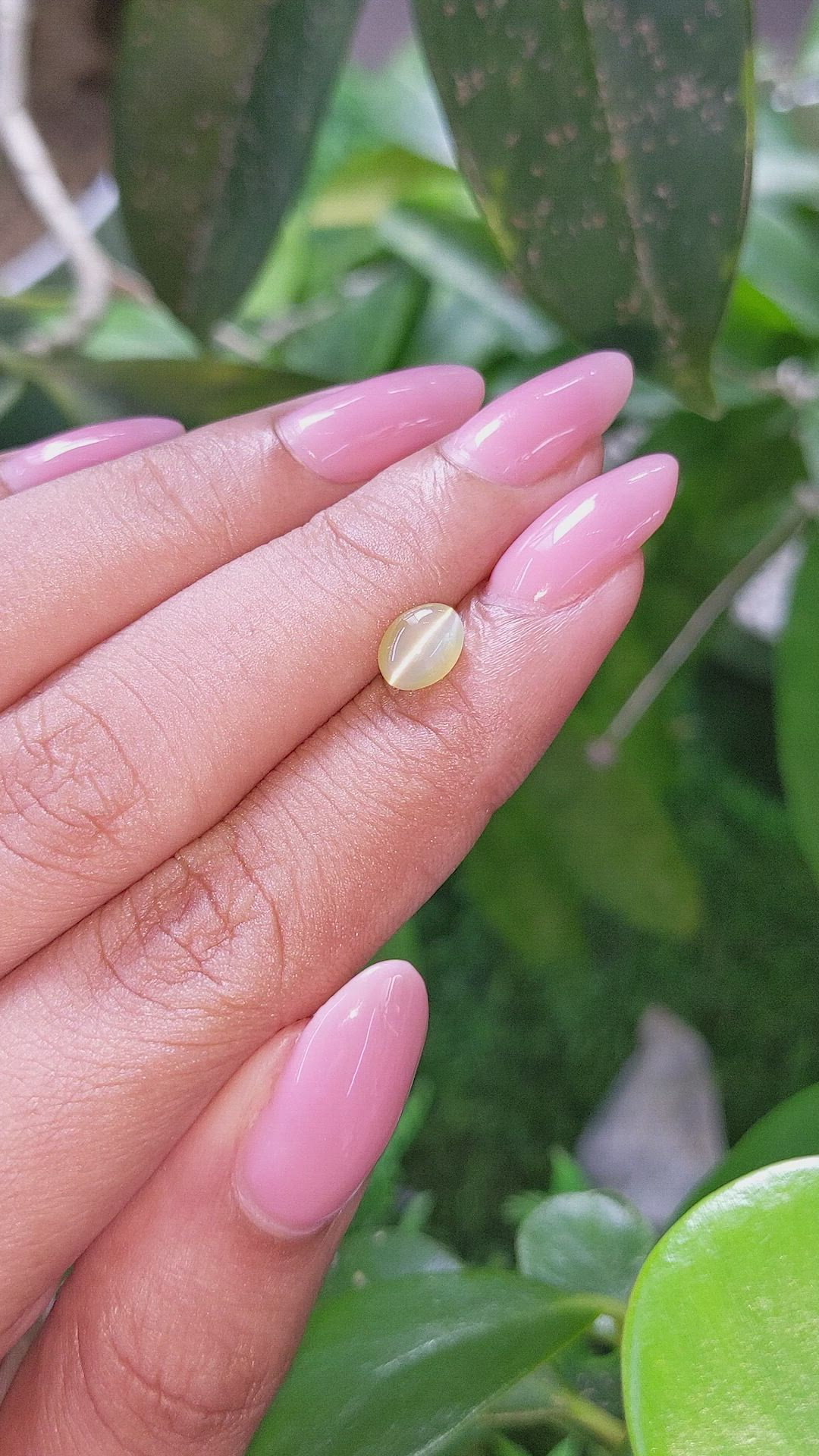 1.37 Ct. Greenish Yellow Cabochon Chrysoberyl from Tanzania Size Video