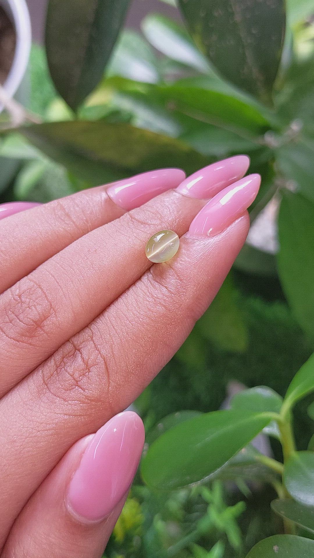1.77 Ct. Greenish Yellow Cabochon Chrysoberyl from Tanzania Size Video