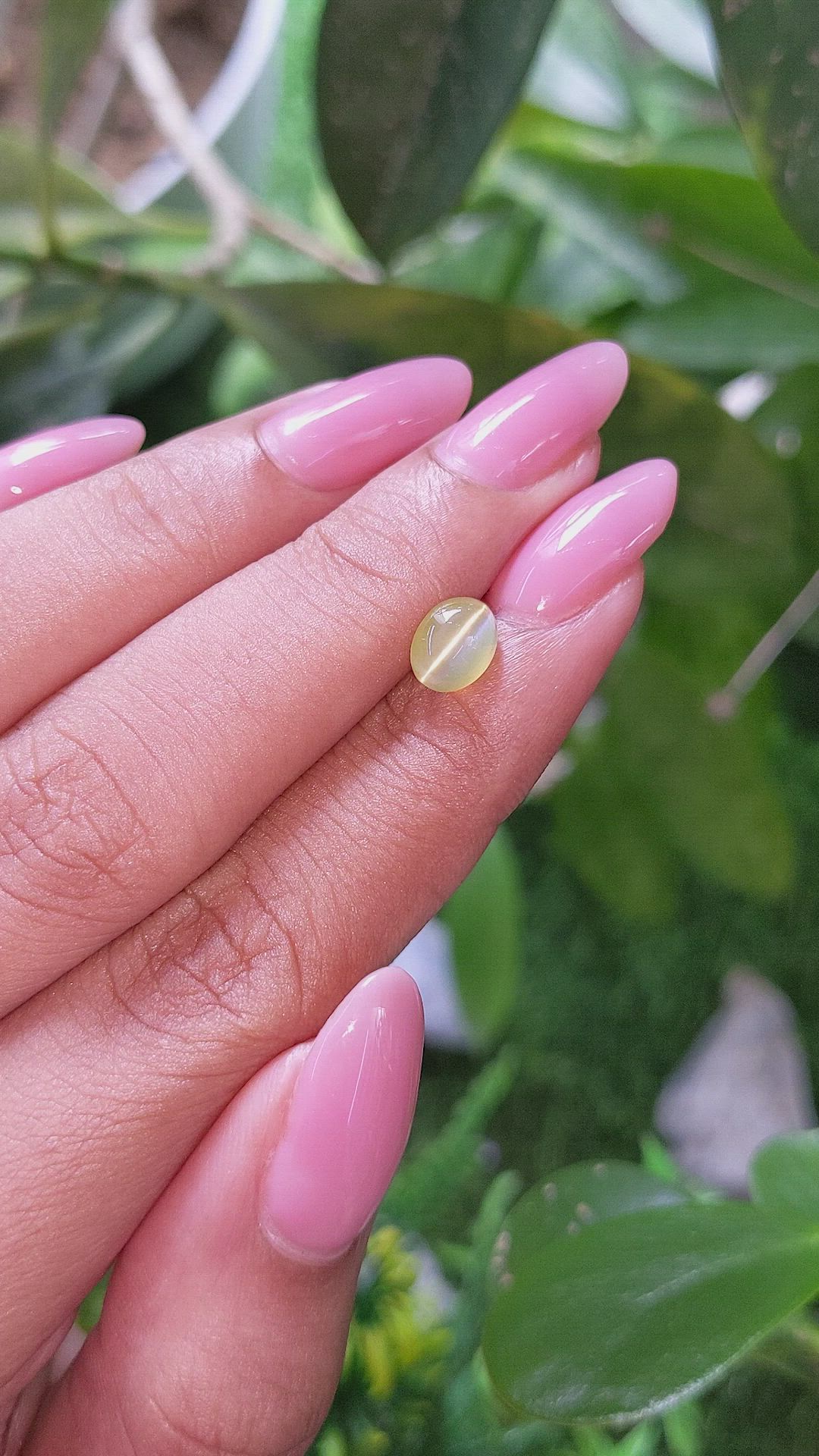 1.63 Ct. Greenish Yellow Cabochon Chrysoberyl from Tanzania Size Video