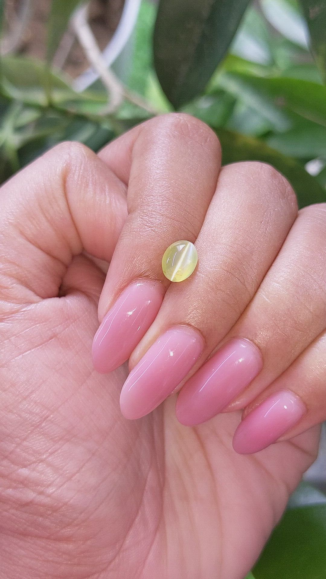 1.63 Ct. Greenish Yellow Cabochon Chrysoberyl from Tanzania Size Video