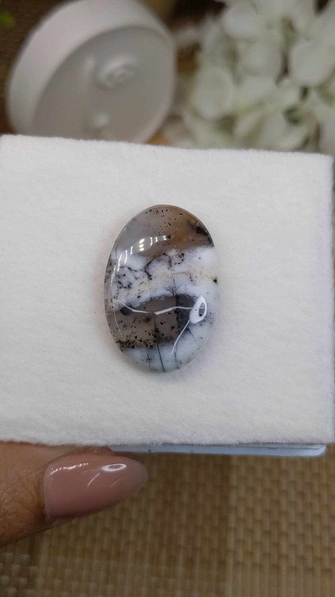 26.69 Ct. Multi Color Cabochon Agate from Madagascar Size Video
