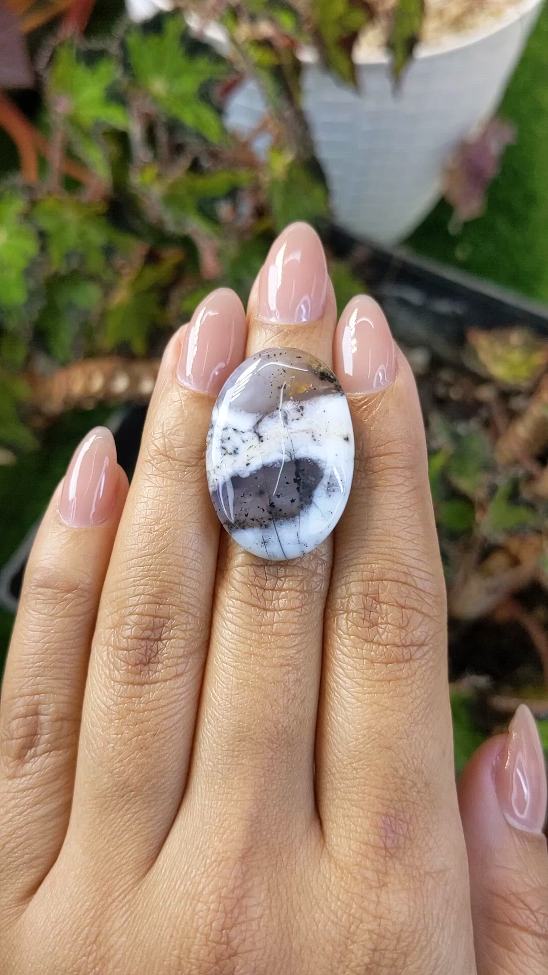 26.69 Ct. Multi Color Cabochon Agate from Madagascar Size Video