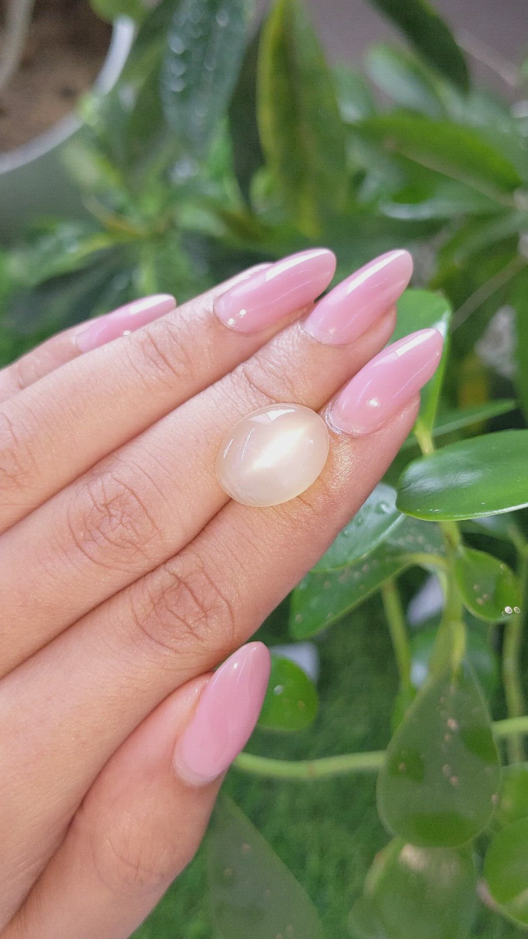 8.83 Ct. Peach Cabochon Moonstone from Ceylon (Sri Lanka) Size Video