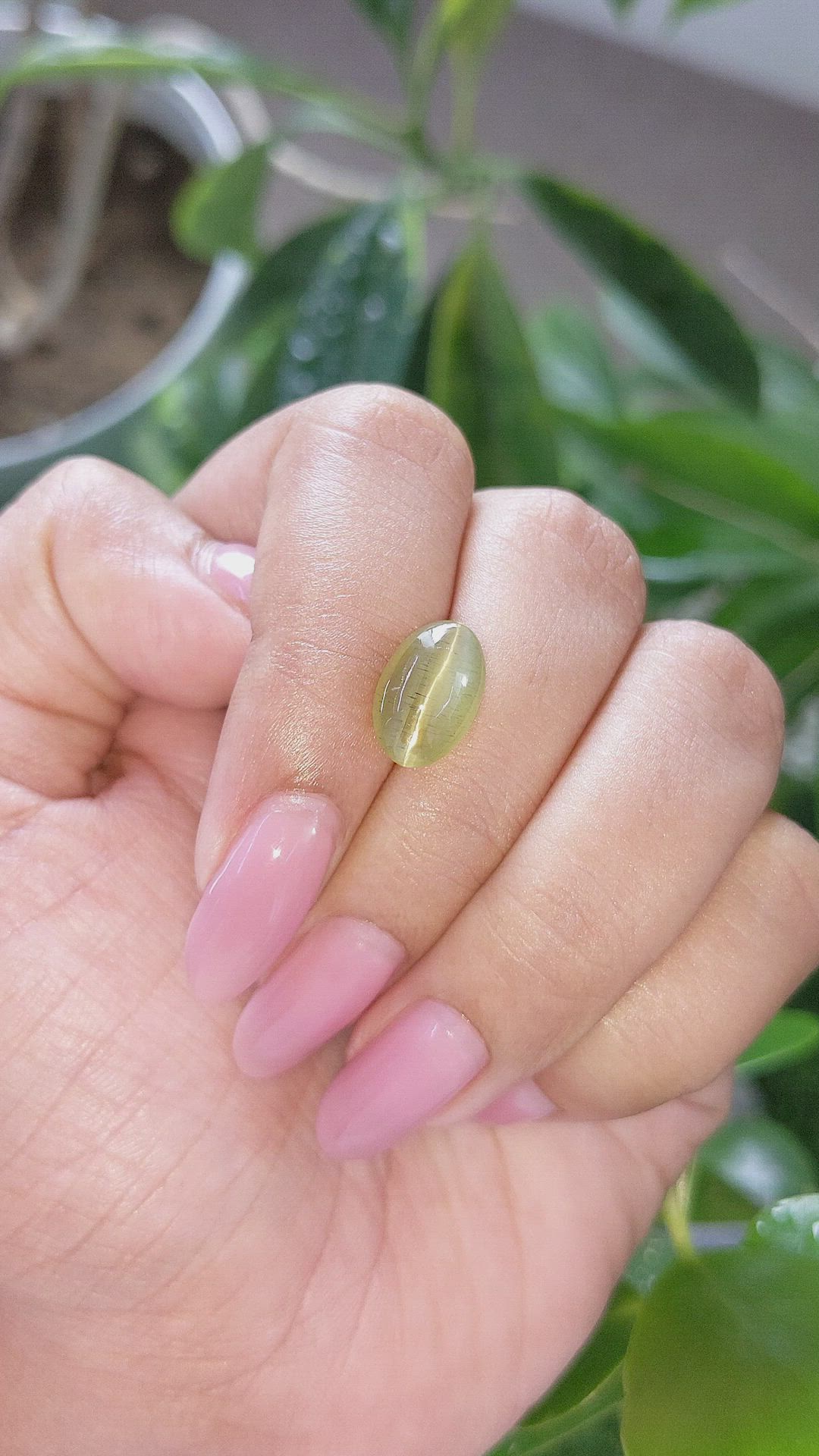 4.89 Ct. Yellowish Green Cabochon Apatite from Ceylon (Sri Lanka) Size Video