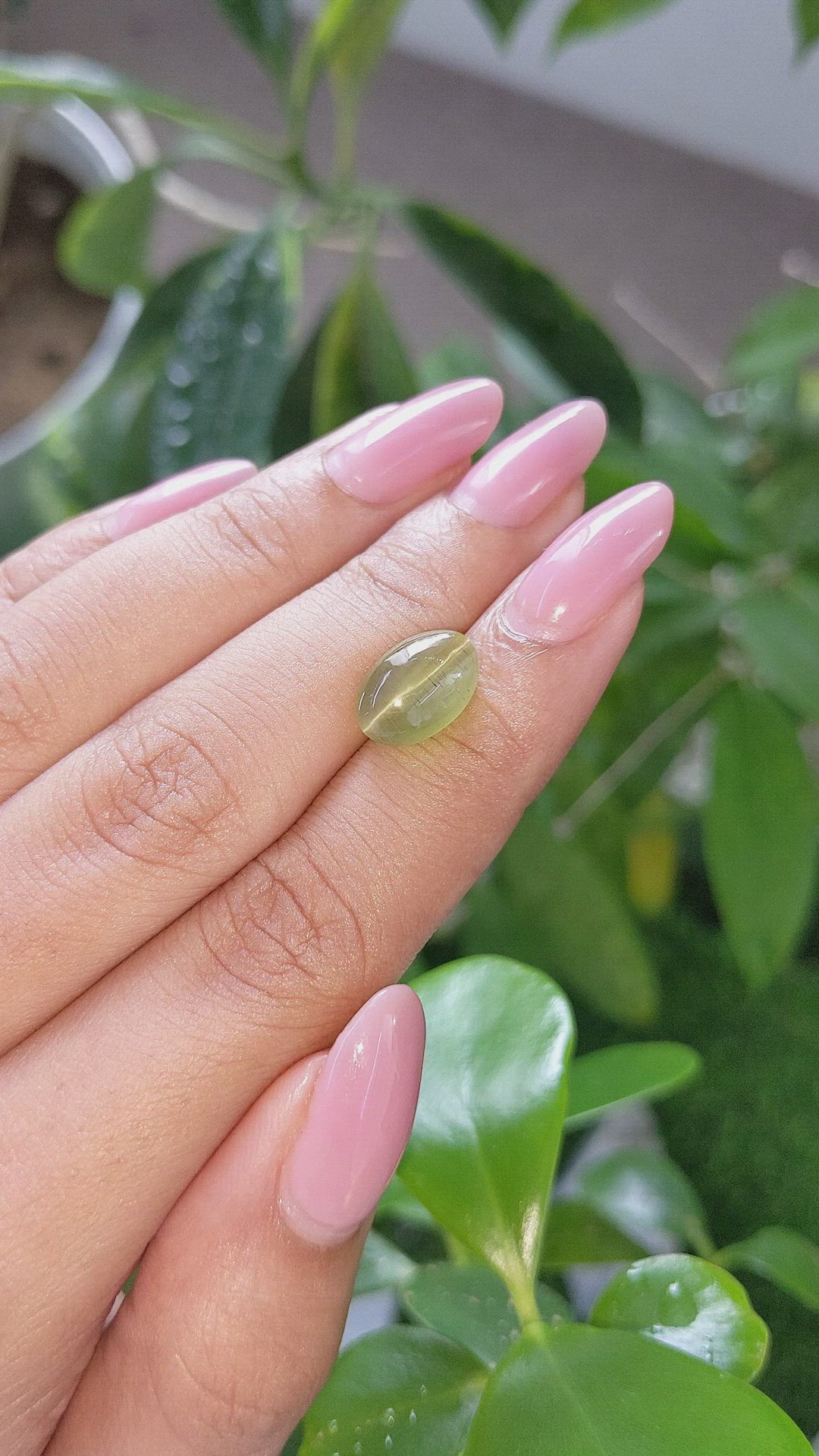 4.89 Ct. Yellowish Green Cabochon Apatite from Ceylon (Sri Lanka) Size Video
