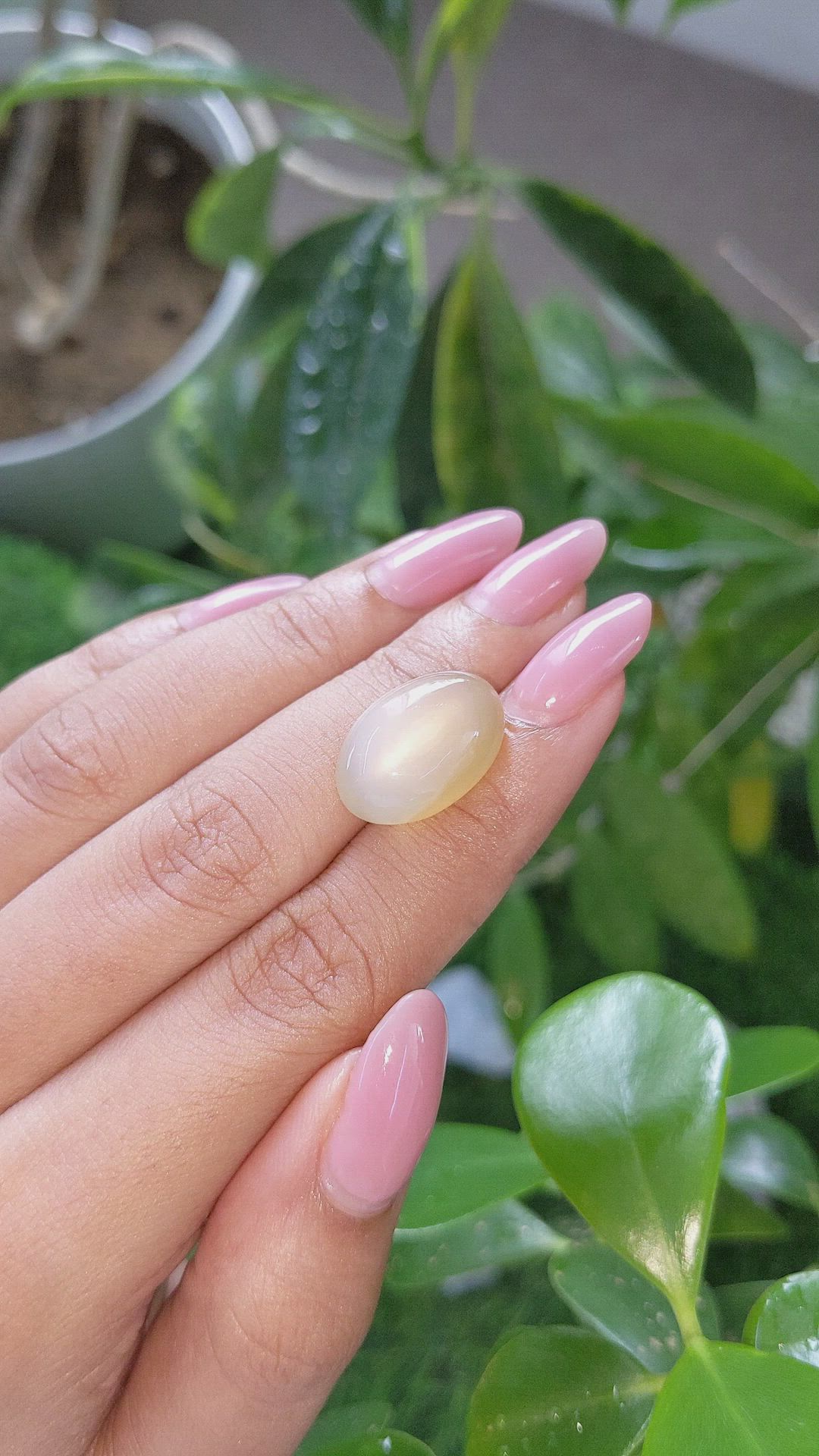 12.61 Ct. Peach Cabochon Moonstone from Ceylon (Sri Lanka) Size Video