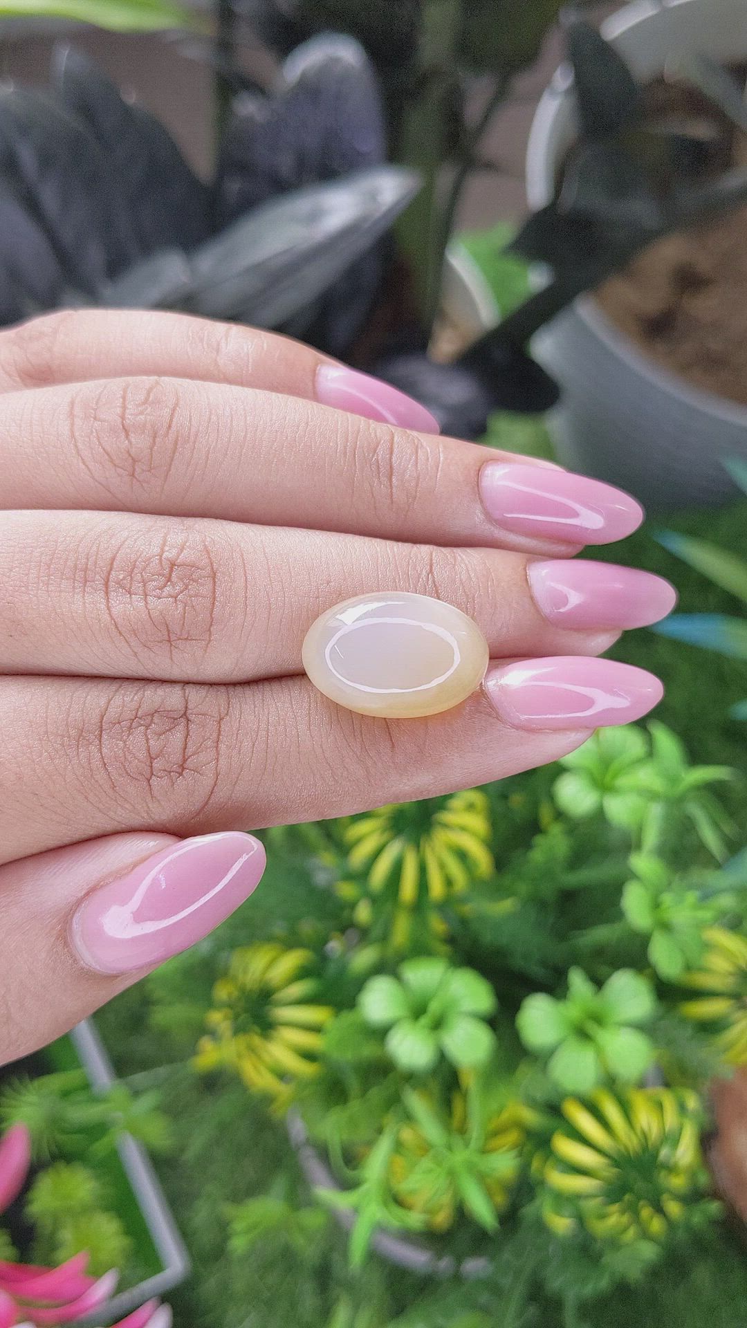 12.61 Ct. Peach Cabochon Moonstone from Ceylon (Sri Lanka) Size Video