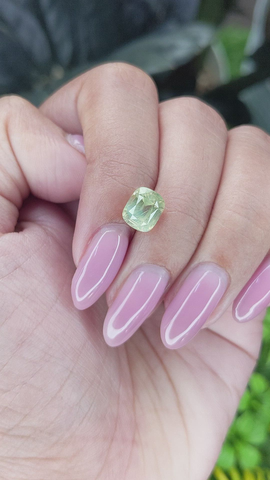 2.65 Ct. Yellowish Green Chrysoberyl from Ceylon (Sri Lanka) Size Video