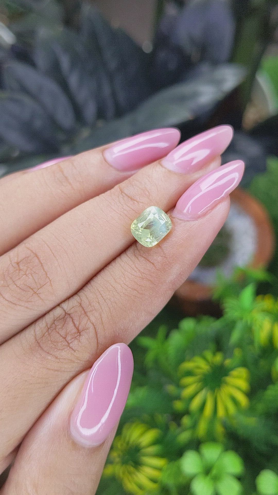 2.65 Ct. Yellowish Green Chrysoberyl from Ceylon (Sri Lanka) Size Video