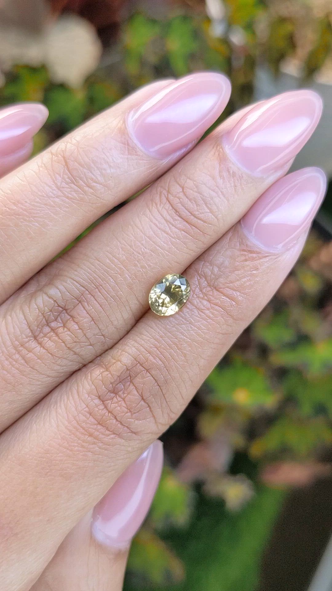 1.68 Ct. Greenish Yellow Zircon from Ceylon (Sri Lanka) Size Video