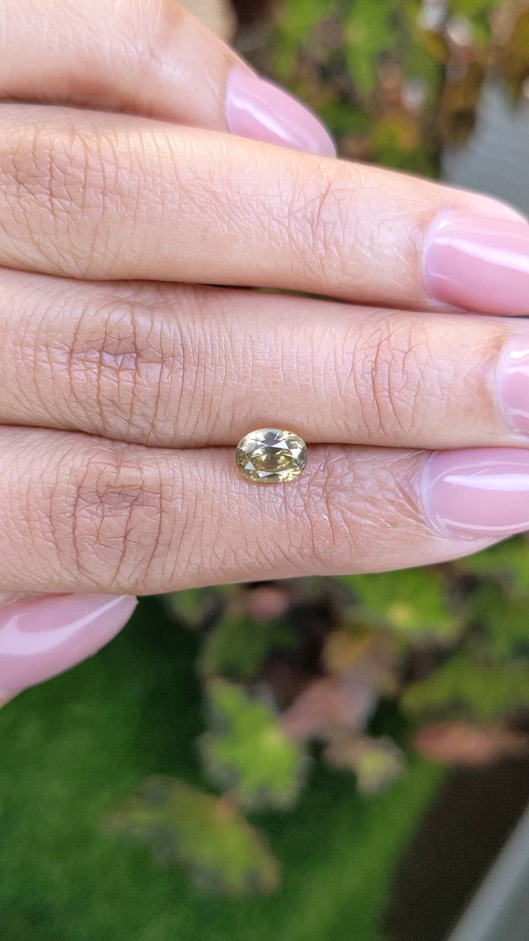 1.68 Ct. Greenish Yellow Zircon from Ceylon (Sri Lanka) Size Video