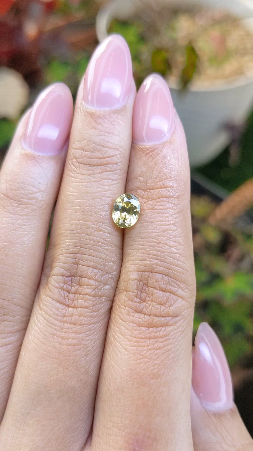 1.68 Ct. Greenish Yellow Zircon from Ceylon (Sri Lanka) Size Video
