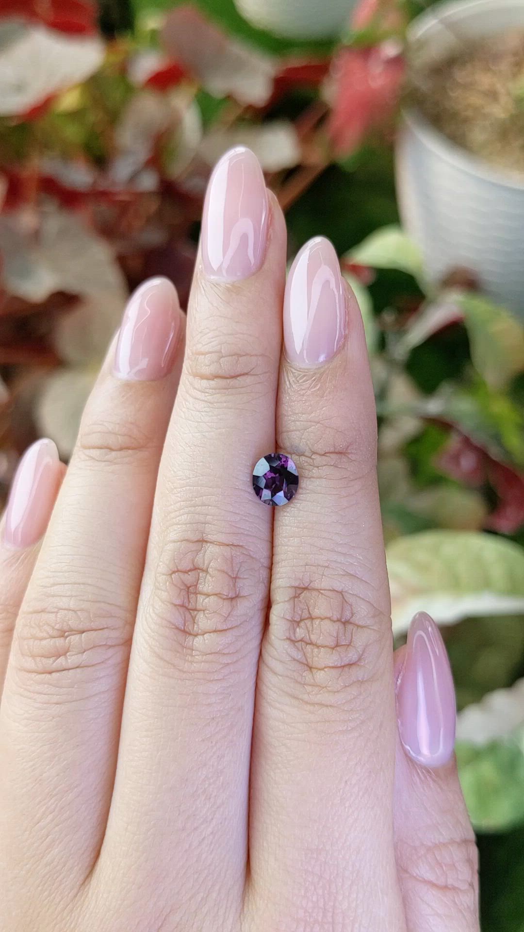 0.83 Ct. Purple Spinel from Ceylon (Sri Lanka) Size Video
