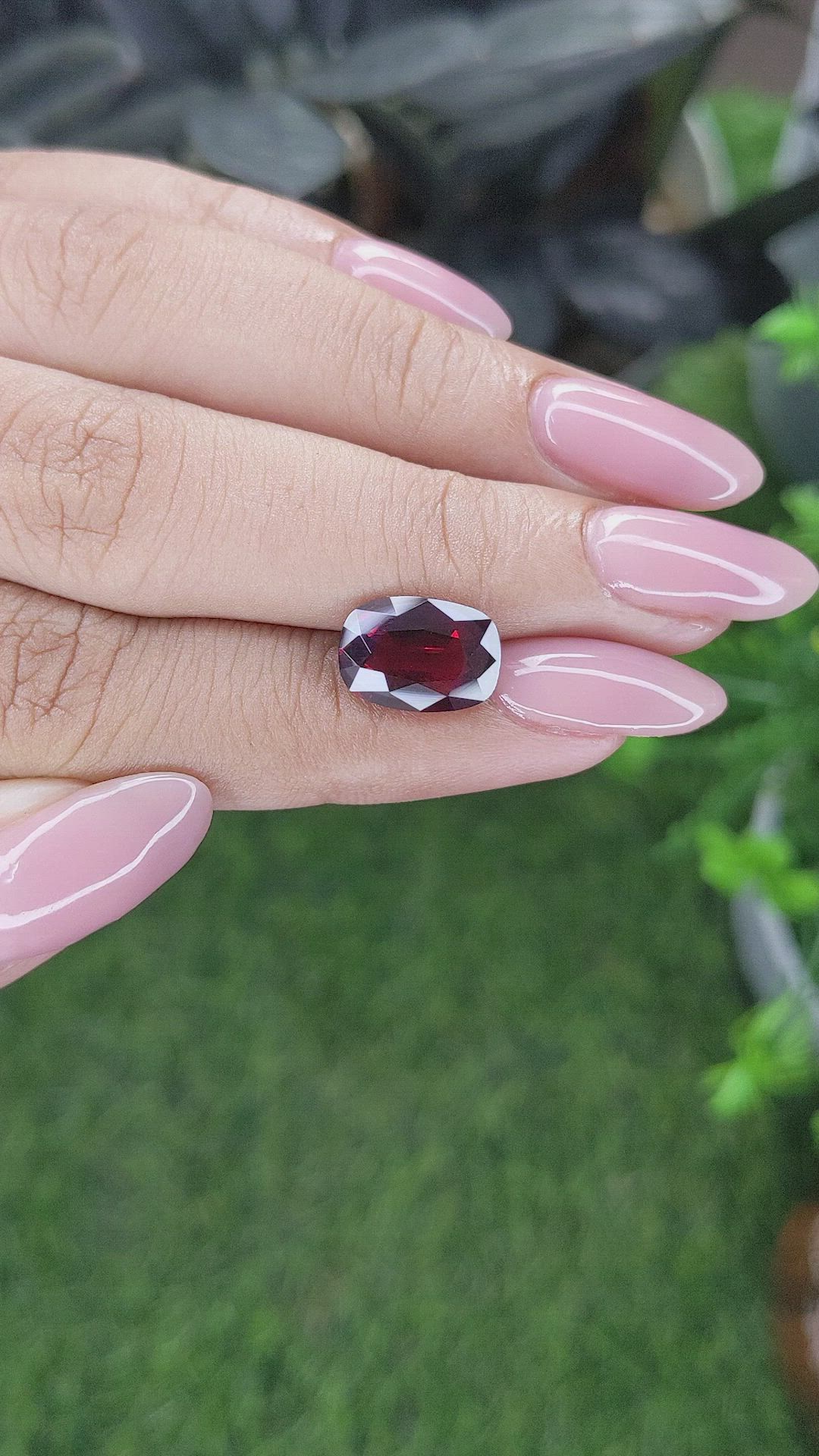 4.05 Ct. Red Garnet from Ceylon (Sri Lanka) Size Video