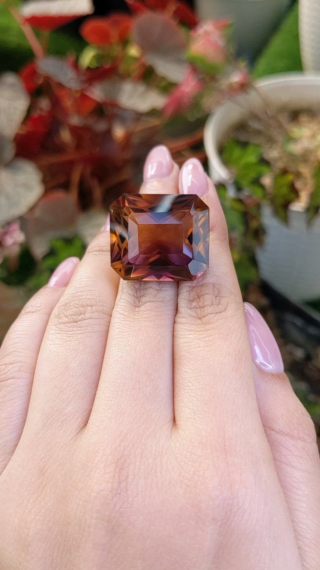 41.23 Ct. Bi Color Ametrine from Brazil Size Video