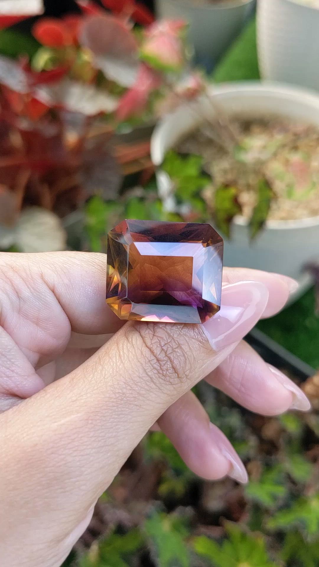 41.23 Ct. Bi Color Ametrine from Brazil Size Video