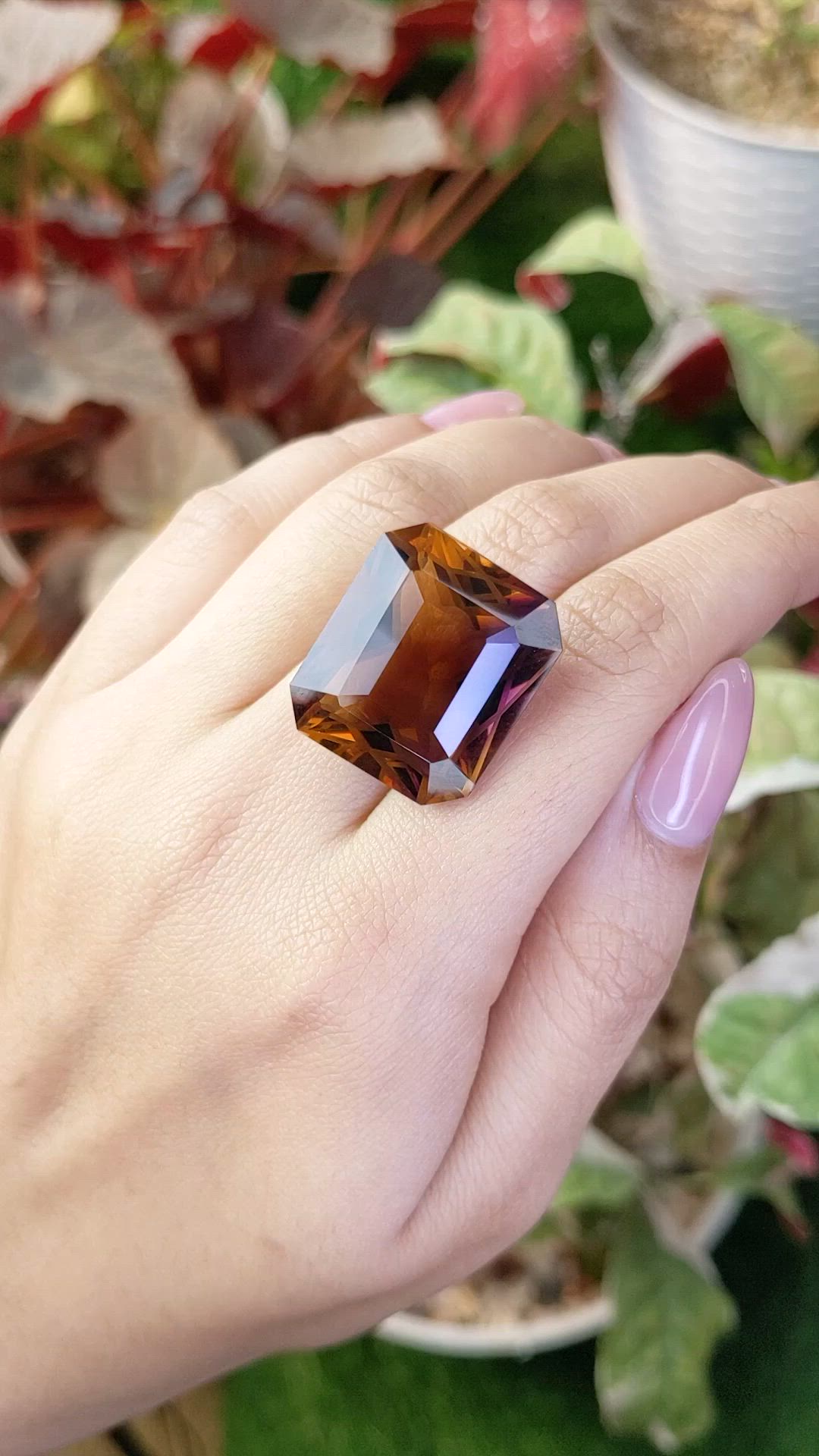 41.23 Ct. Bi Color Ametrine from Brazil Size Video