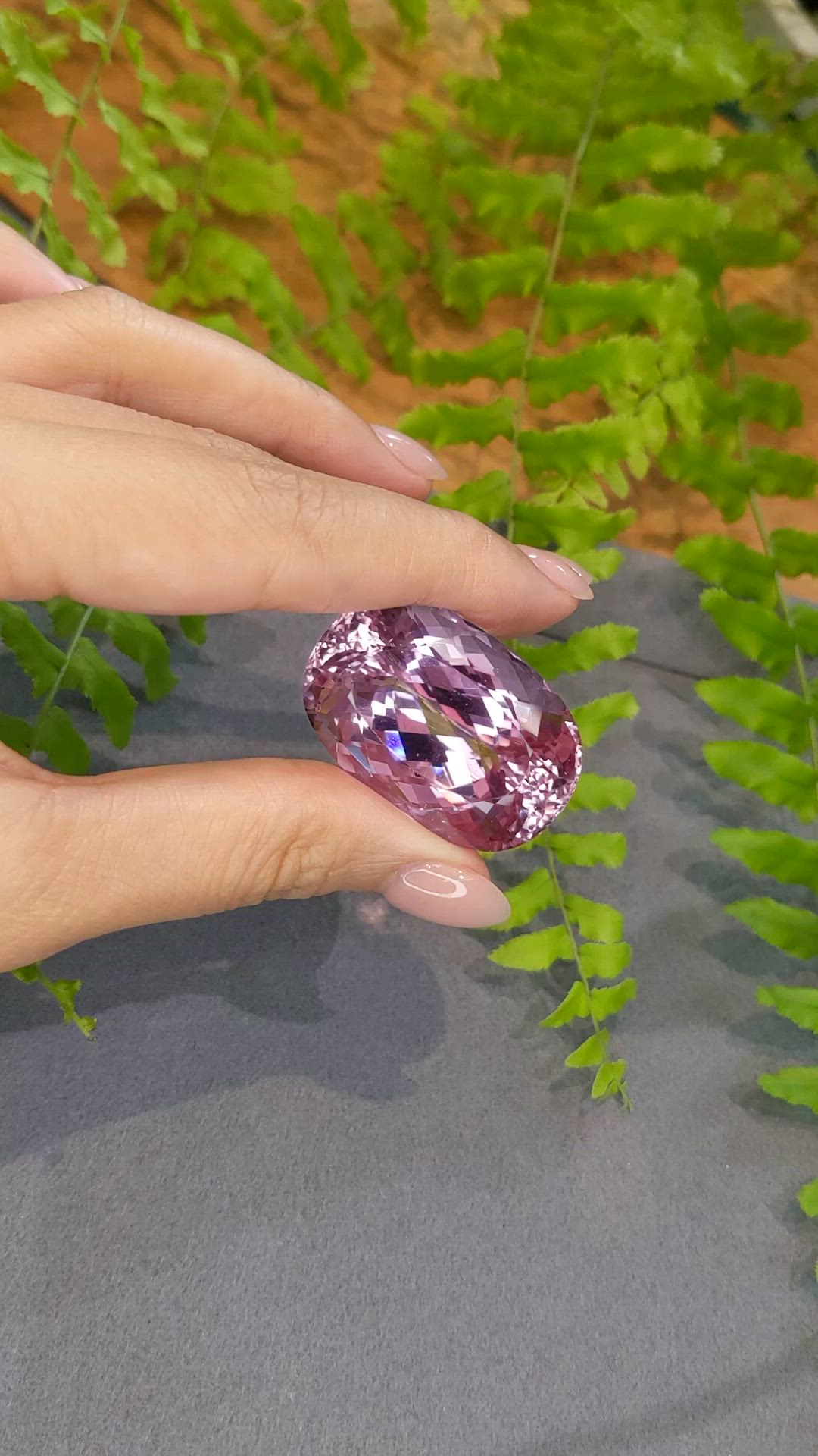 125.86 Ct. Pink Kunzite from Afghanistan Size Video