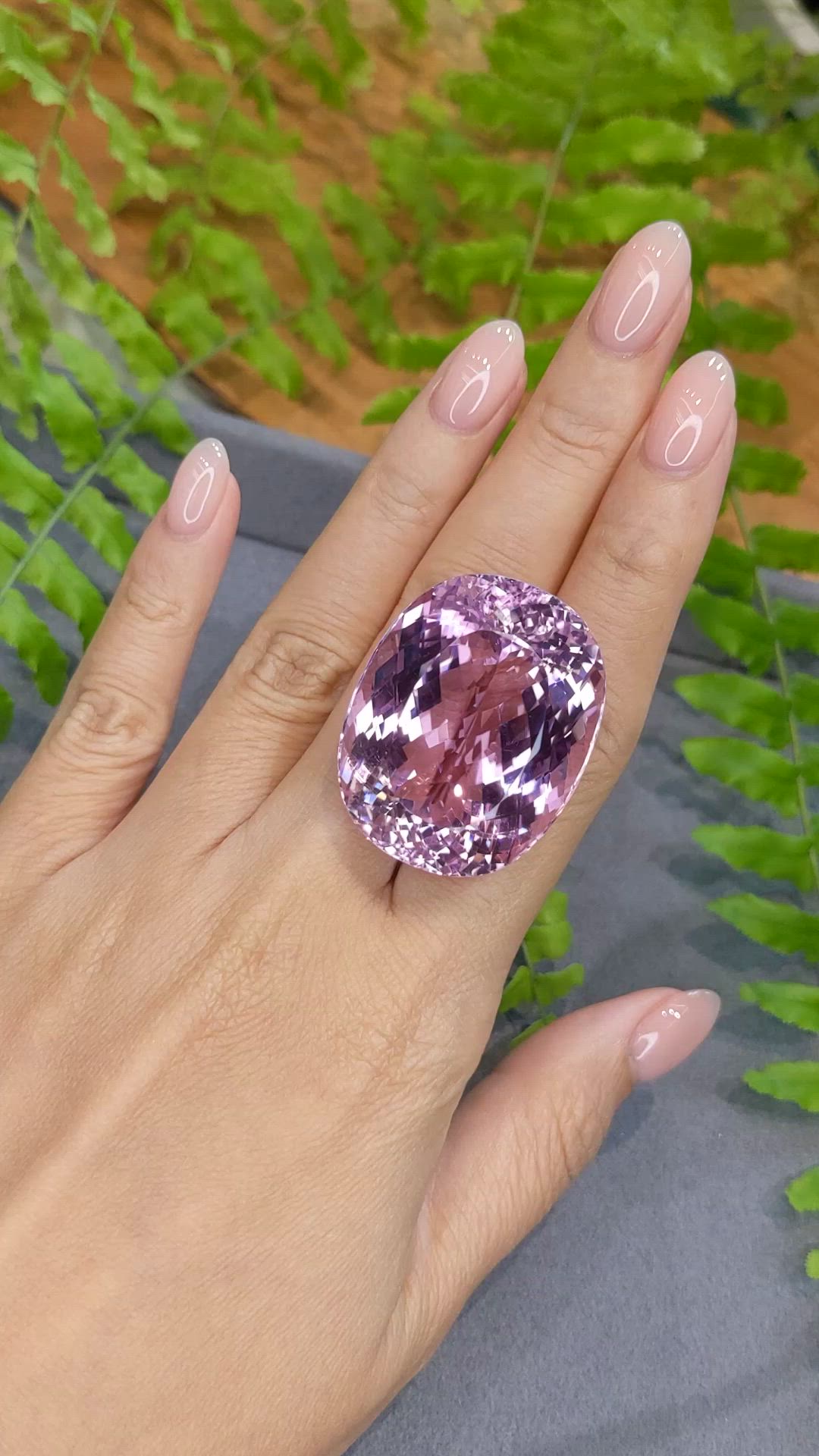 126.55 Ct. Pink Kunzite from Afghanistan Size Video