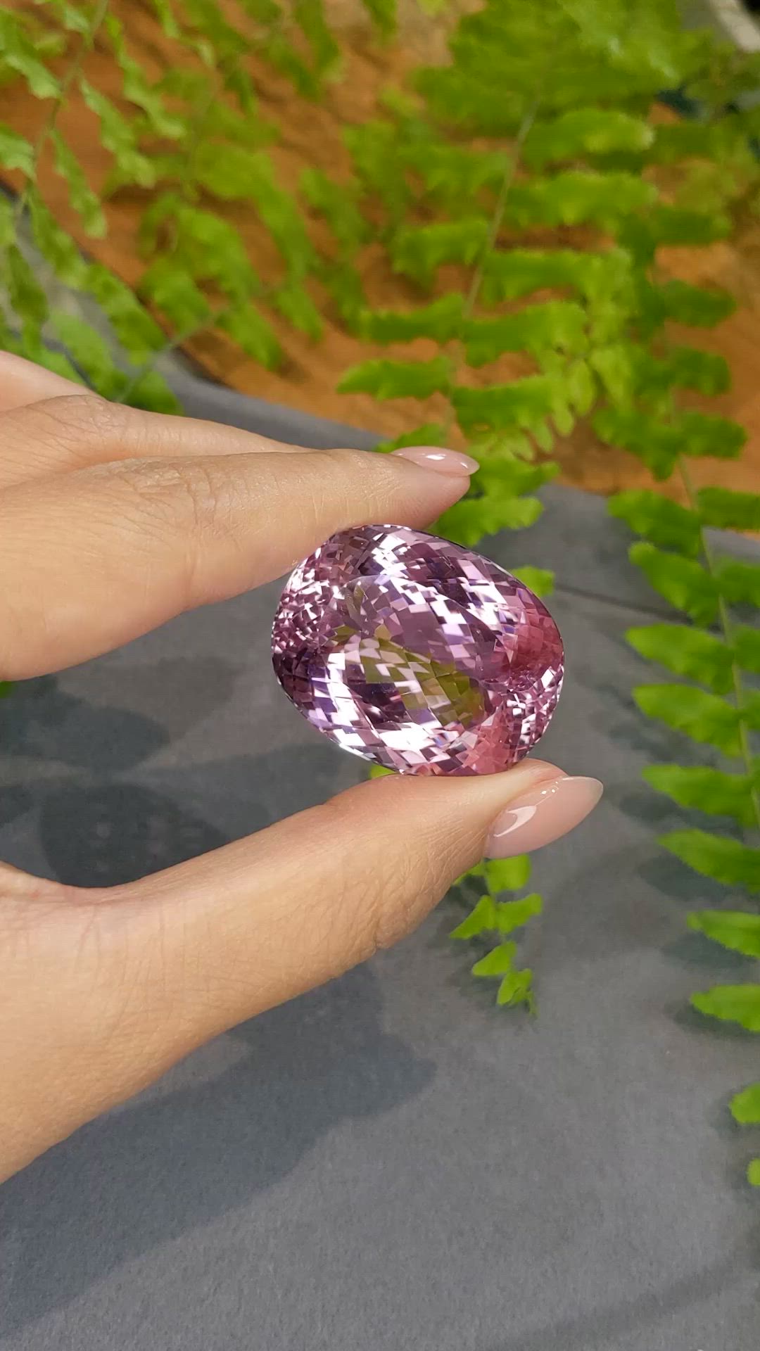 126.55 Ct. Pink Kunzite from Afghanistan Size Video