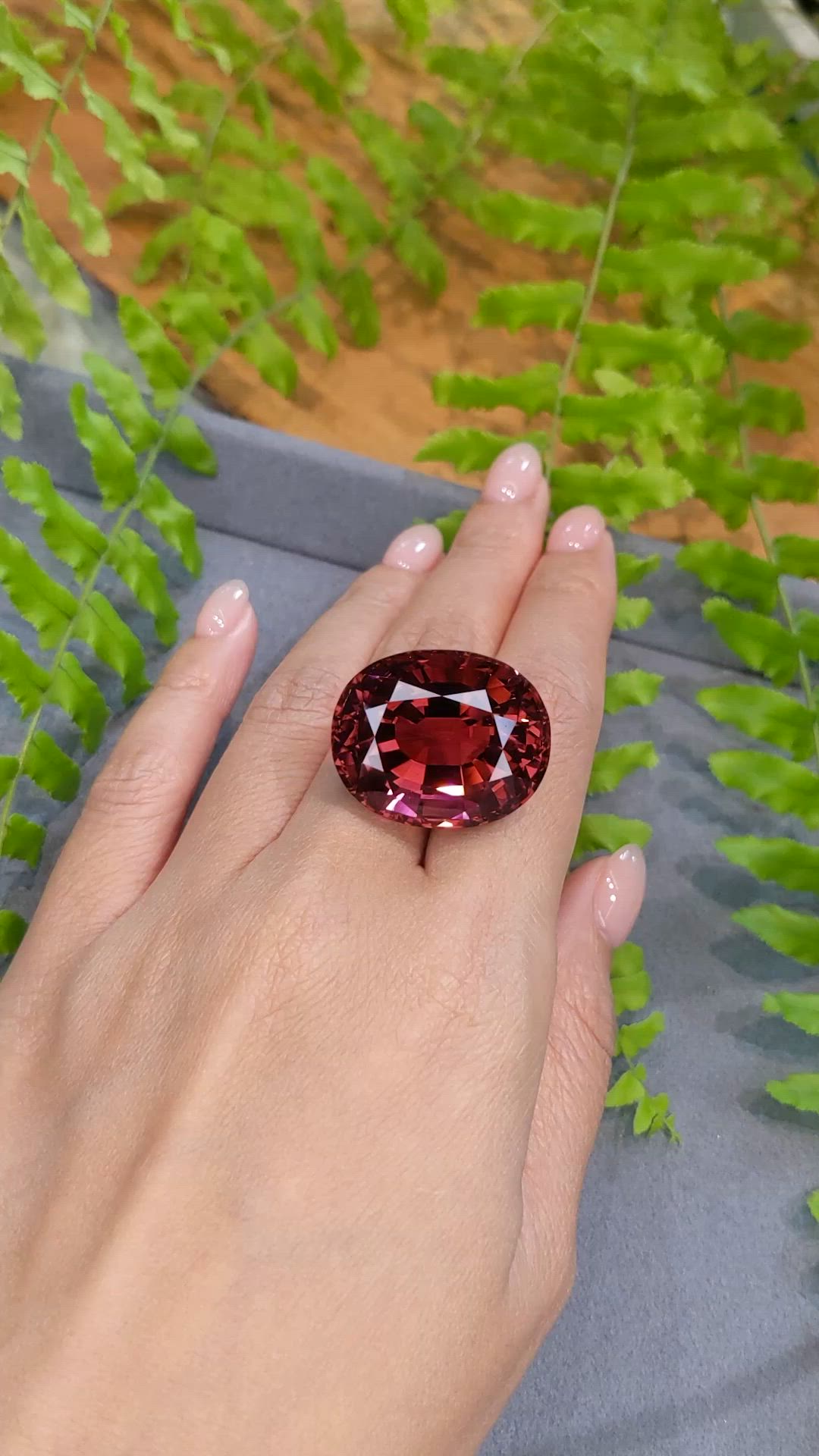 70.48 Ct. Purplish Red Rubellite Tourmaline from Brazil Size Video