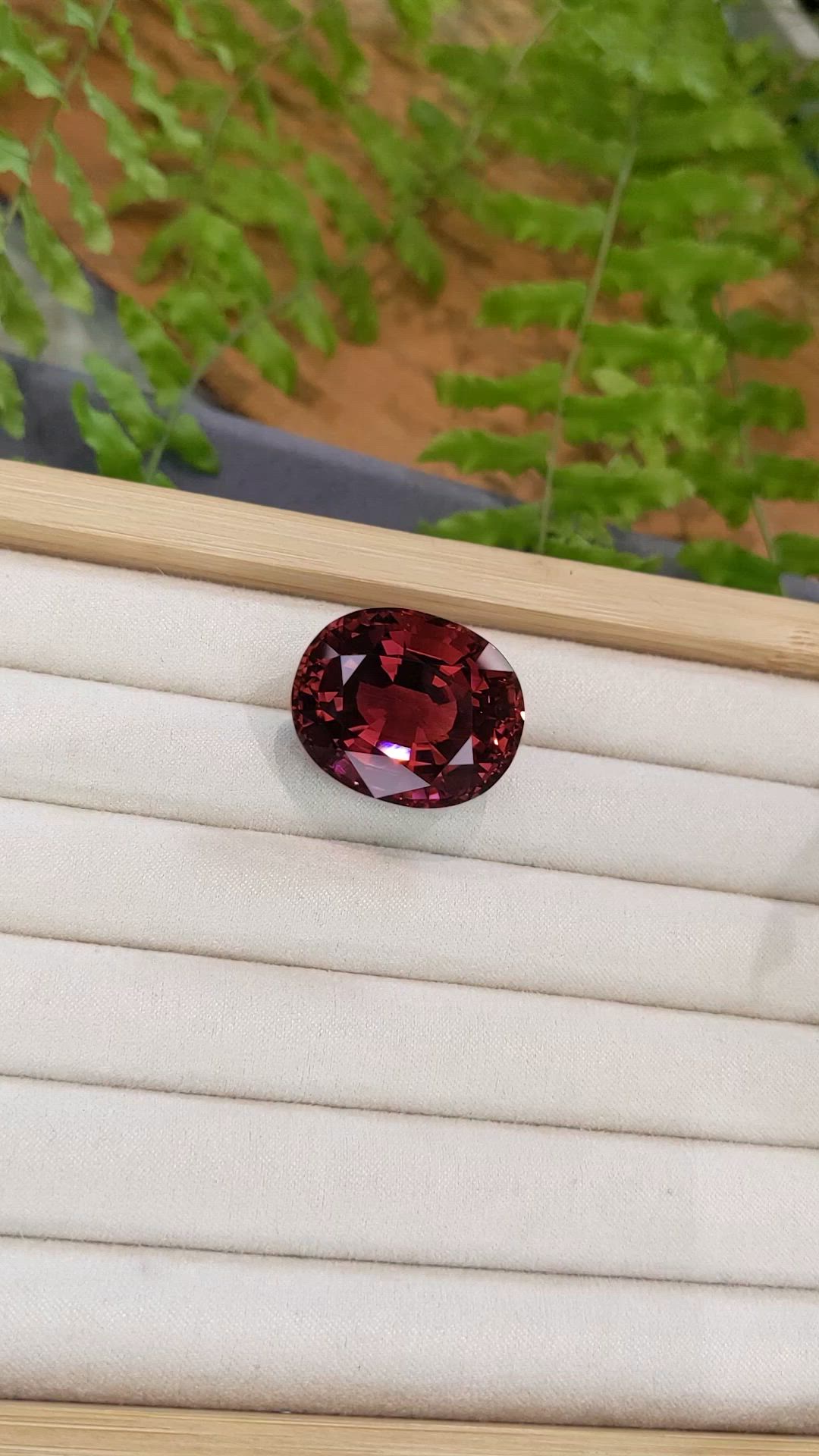 70.48 Ct. Purplish Red Rubellite Tourmaline from Brazil Size Video