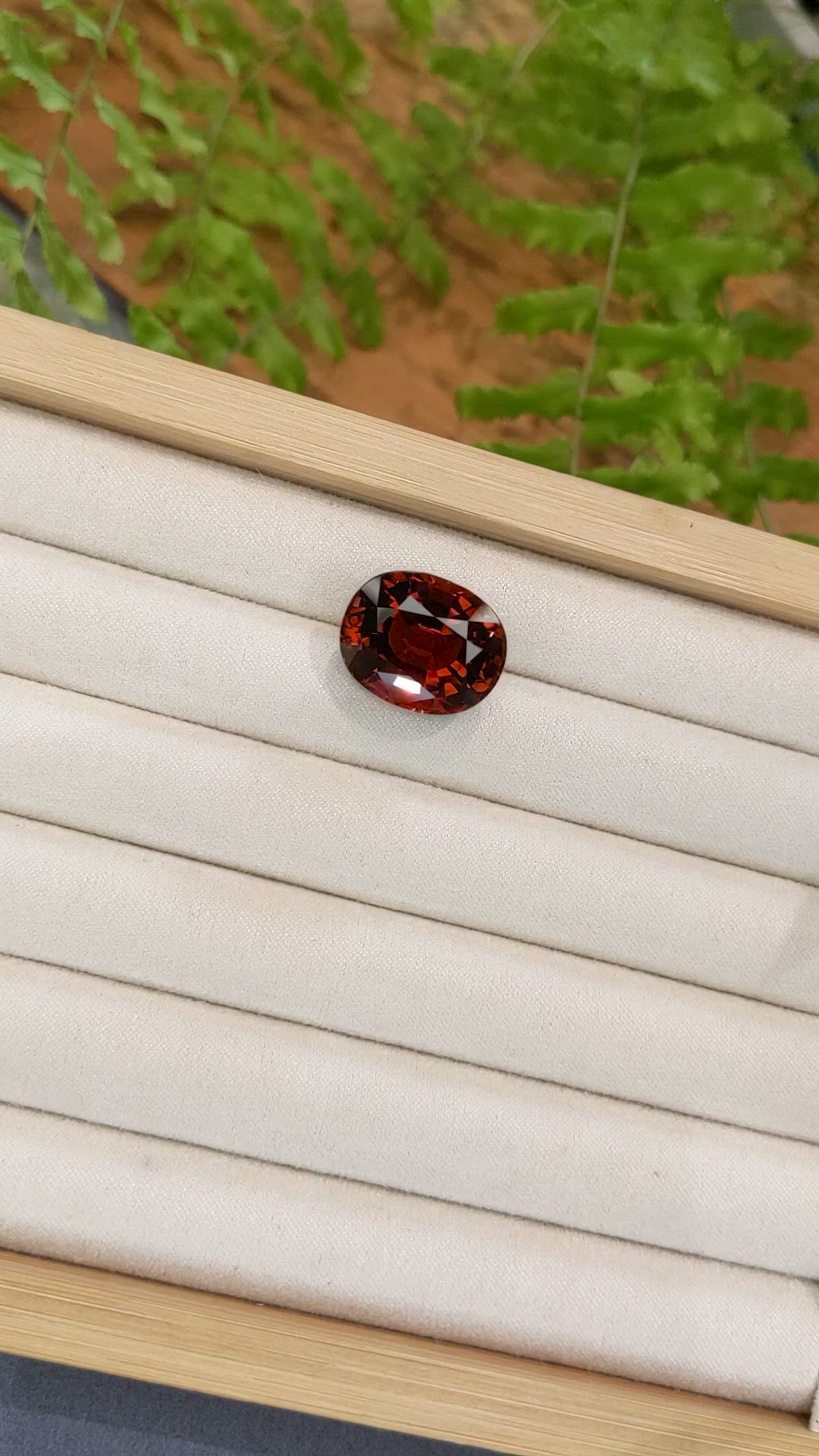 25.49 Ct. Pinkish Red Rubellite Tourmaline from Brazil Size Video