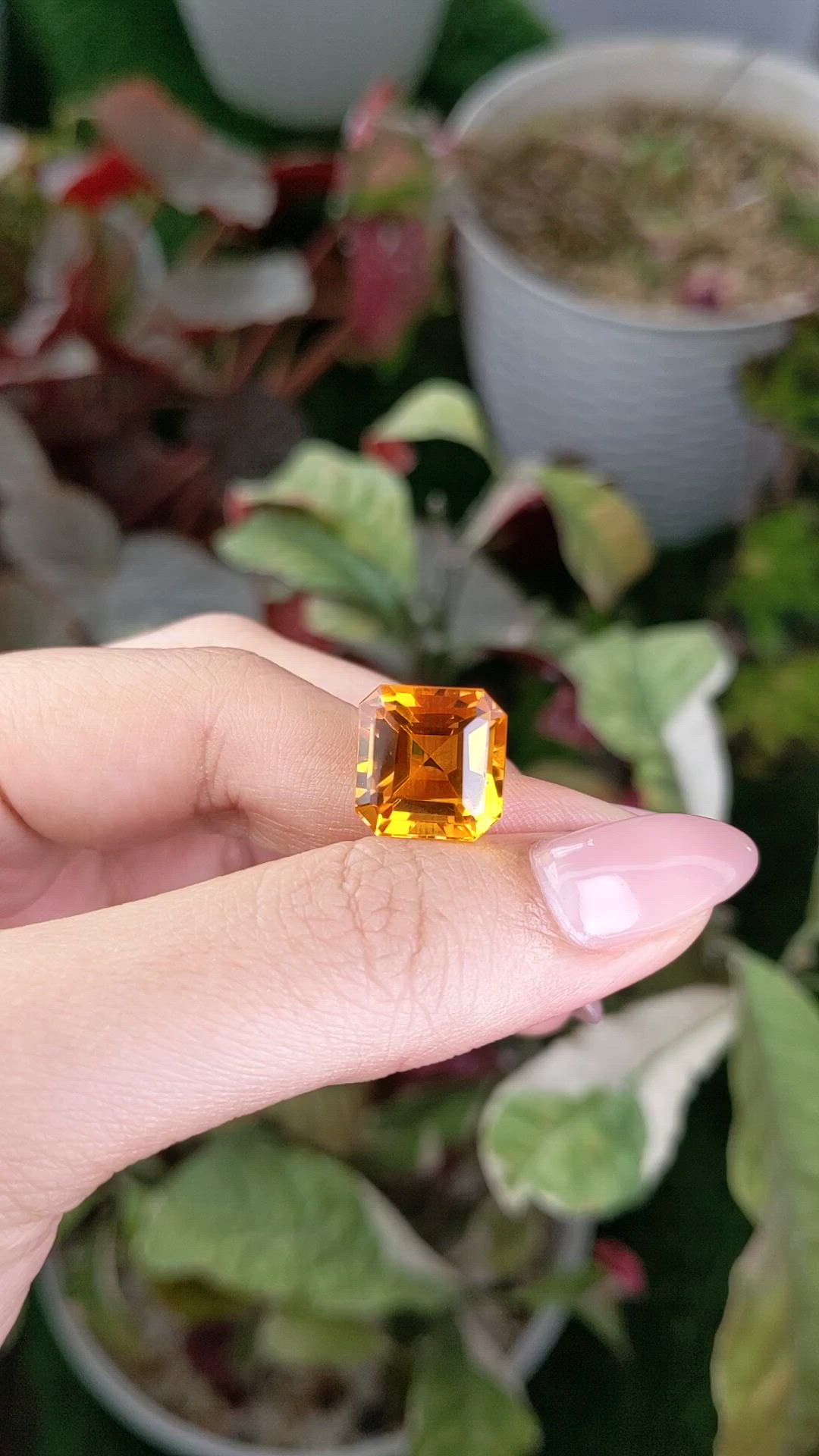 10.93 Ct. Yellowish Orange Citrine from Ceylon (Sri Lanka) Size Video