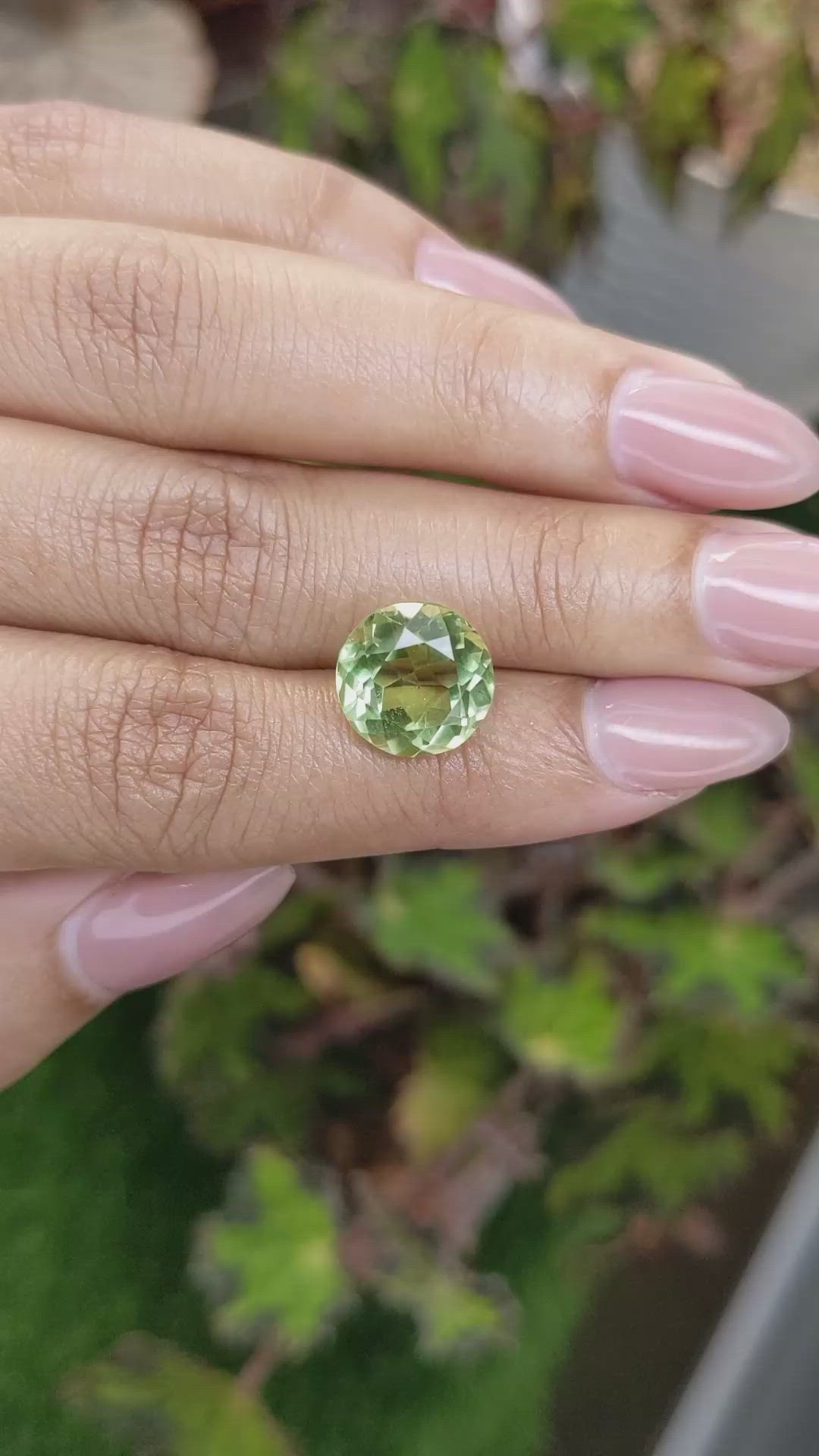 5.58 Ct. Yellowish Green Prasiolite from Brazil Size Video
