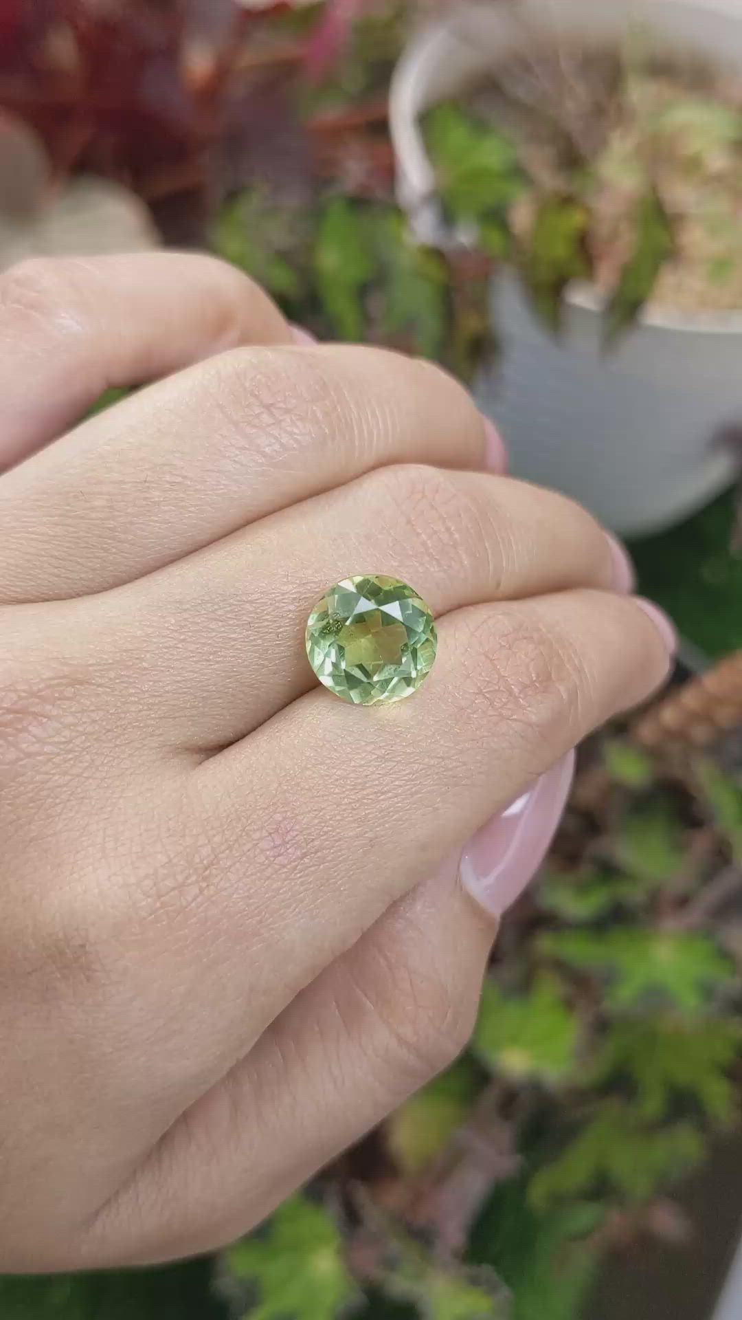 5.58 Ct. Yellowish Green Prasiolite from Brazil Size Video