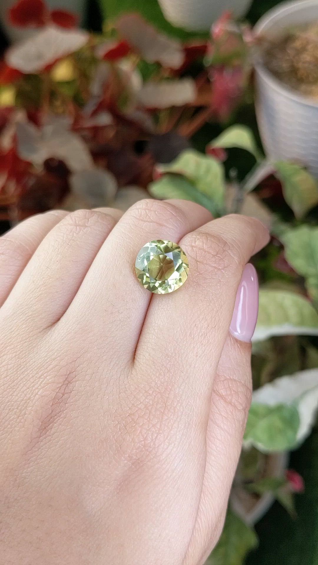 6.63 Ct. Yellowish Green Prasiolite from Brazil Size Video