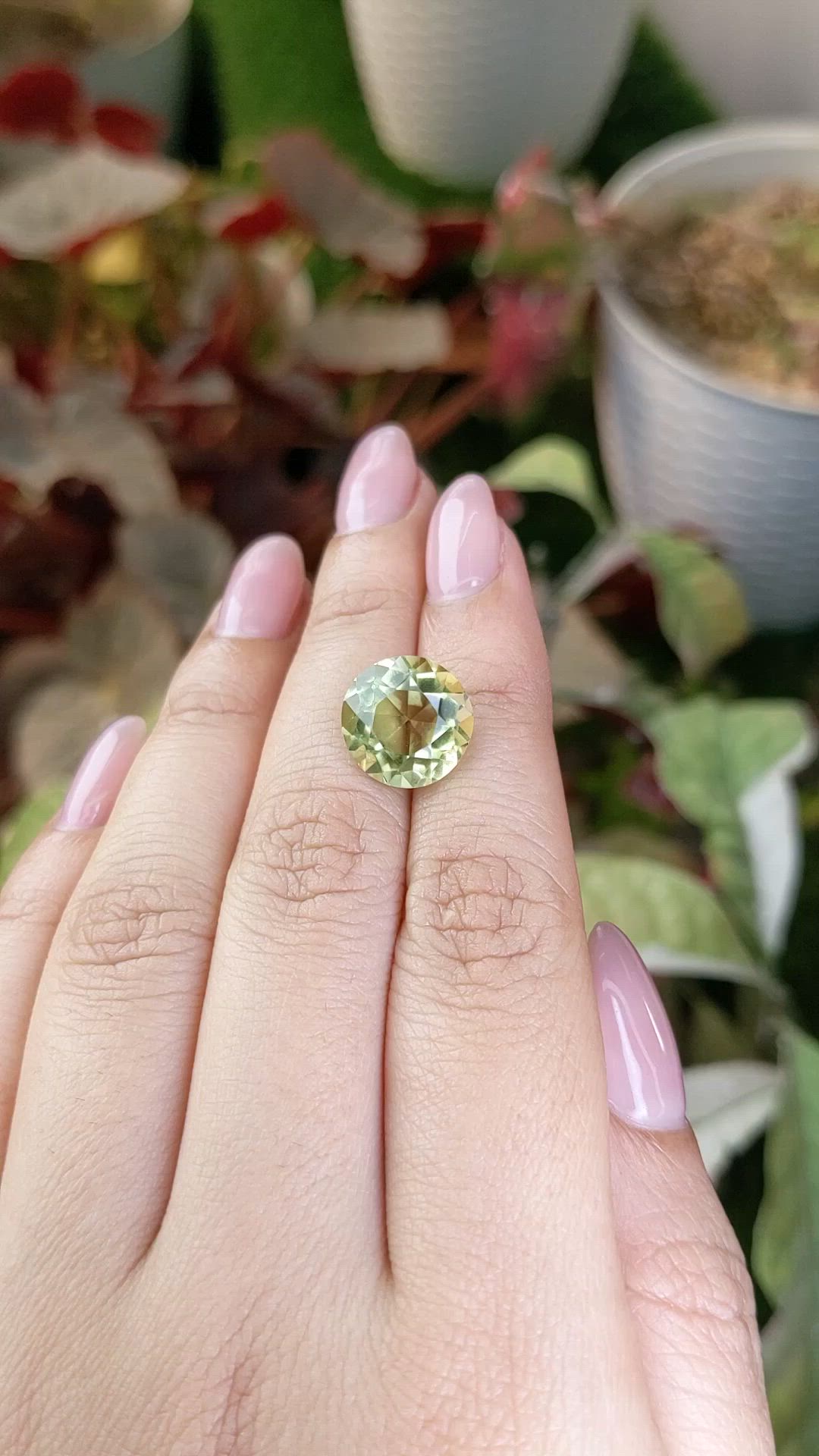 6.63 Ct. Yellowish Green Prasiolite from Brazil Size Video