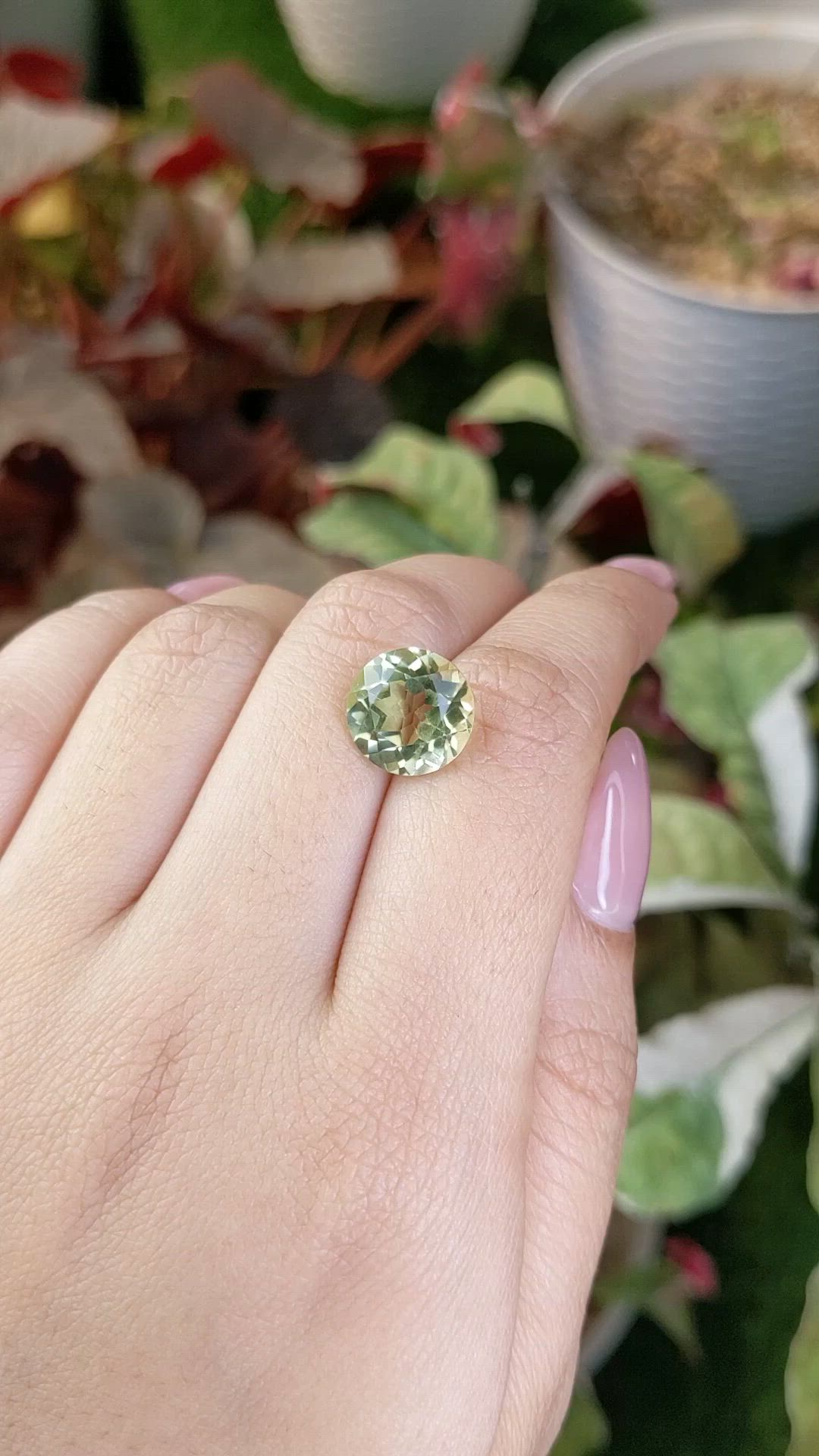 5.19 Ct. Yellowish Green Prasiolite from Brazil Size Video