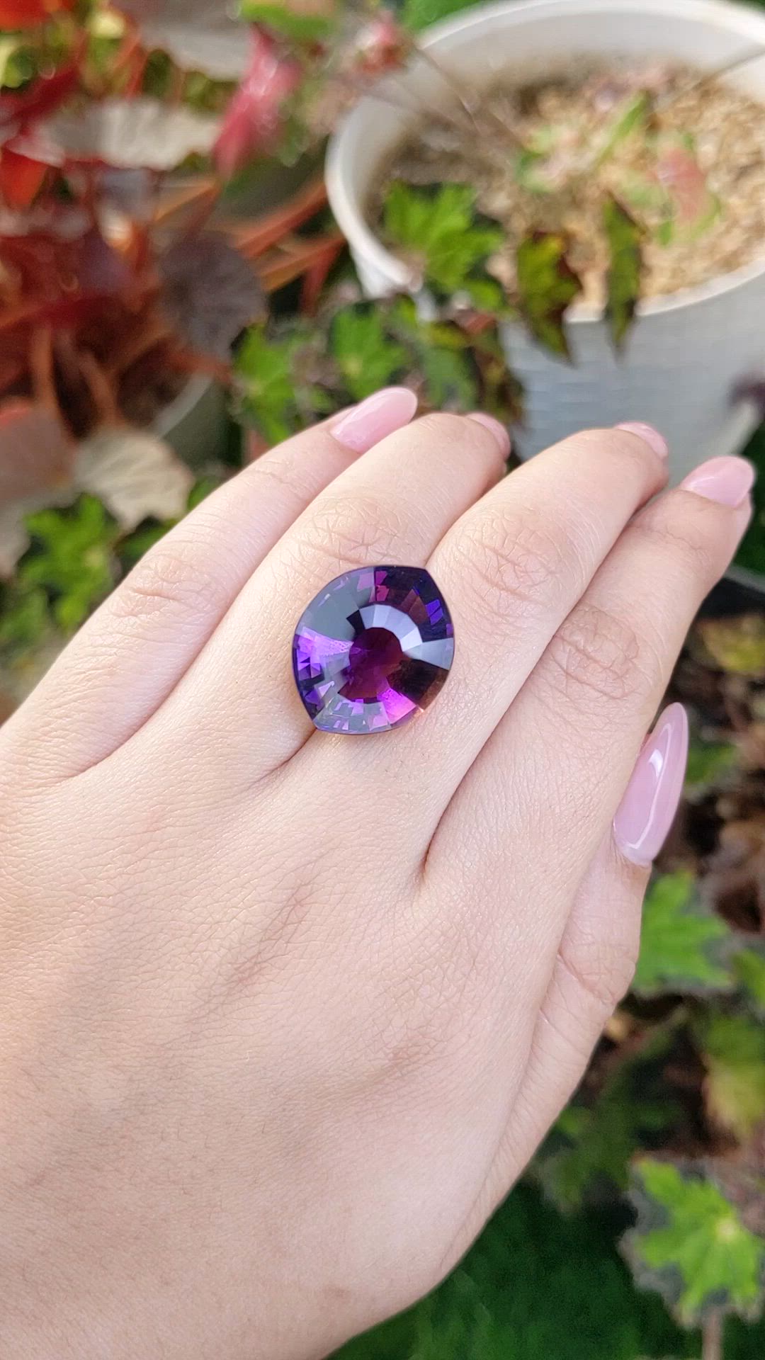 16.31 Ct. Bi Color Ametrine from Brazil Size Video