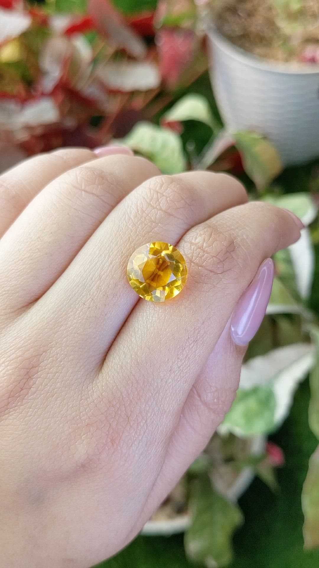 5.58 Ct. Golden Citrine from Brazil Size Video