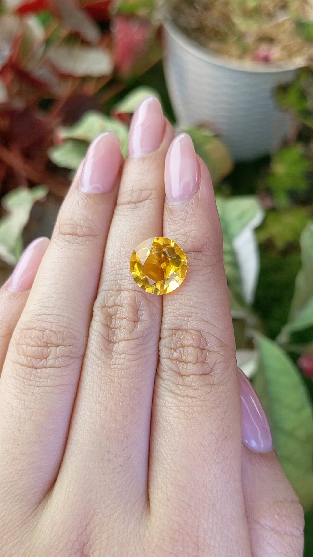 5.58 Ct. Golden Citrine from Brazil Size Video