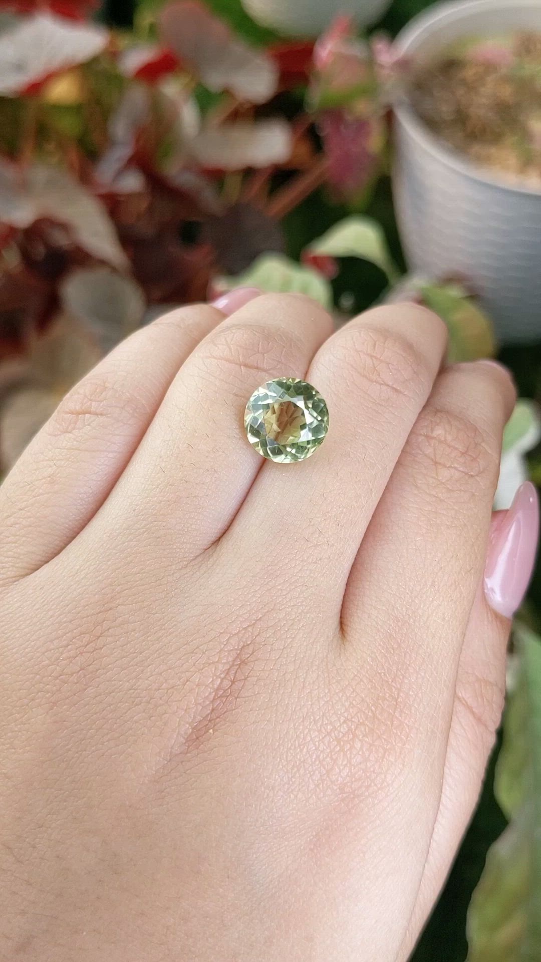 4.83 Ct. Yellowish Green Prasiolite from Brazil Size Video
