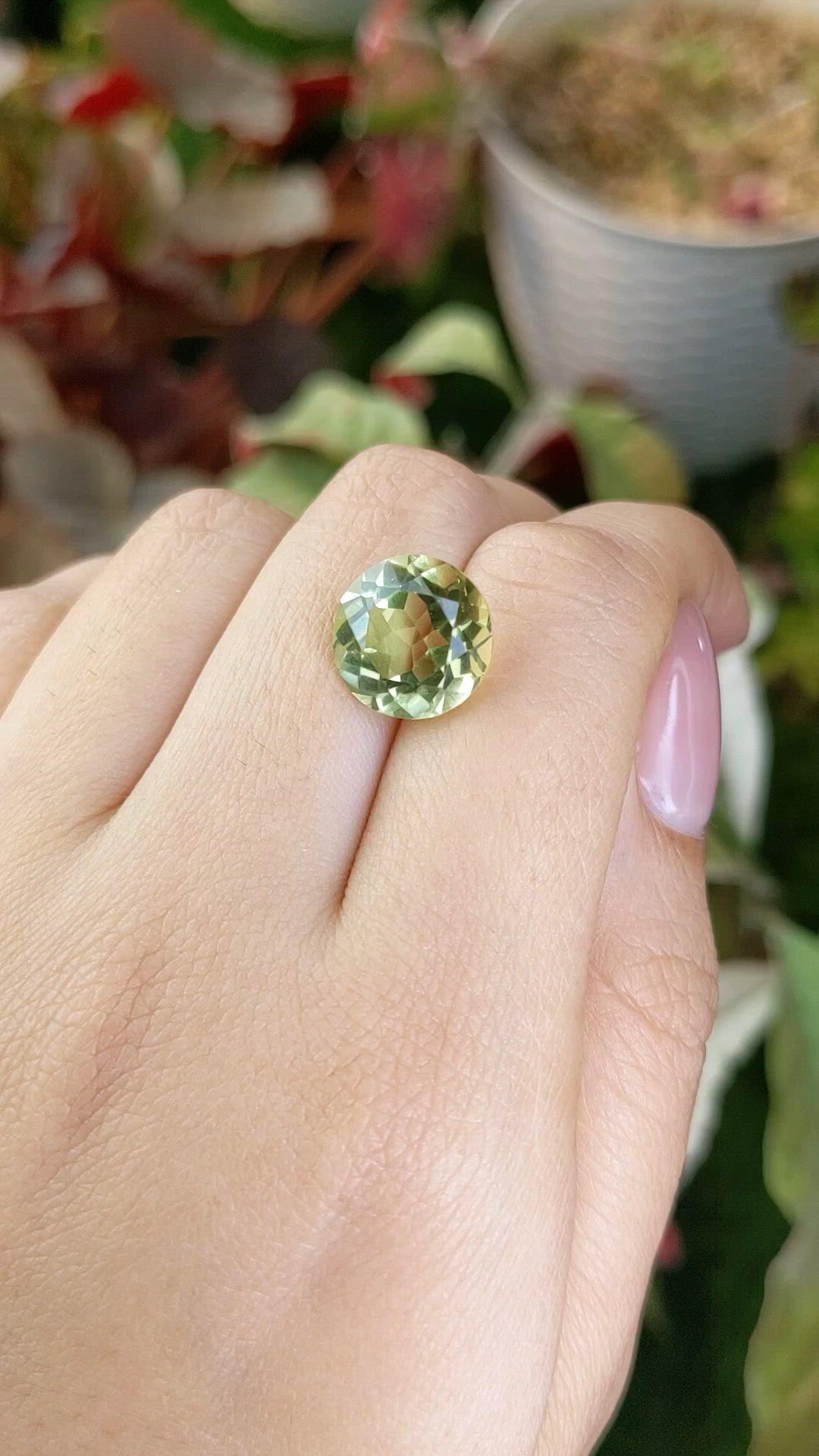 6.27 Ct. Yellowish Green Prasiolite from Brazil Size Video