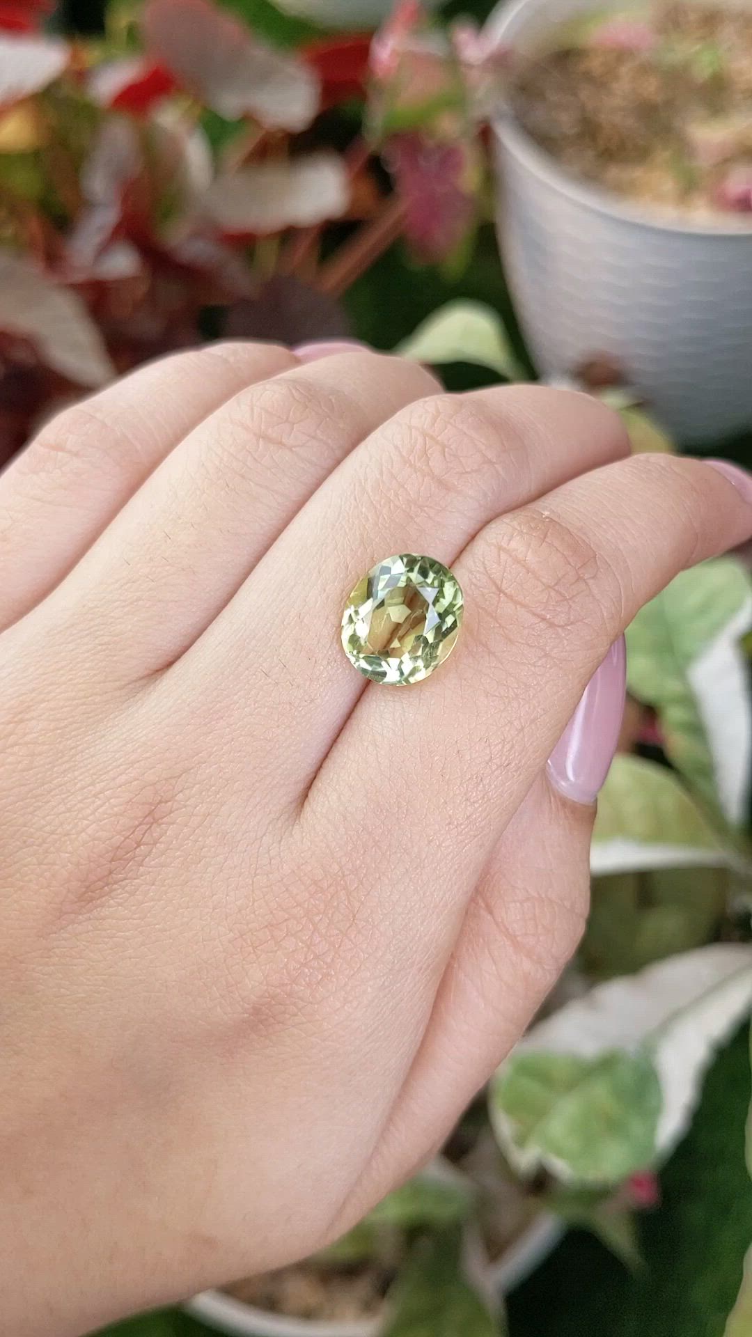 5.40 Ct. Yellowish Green Prasiolite from Brazil Size Video