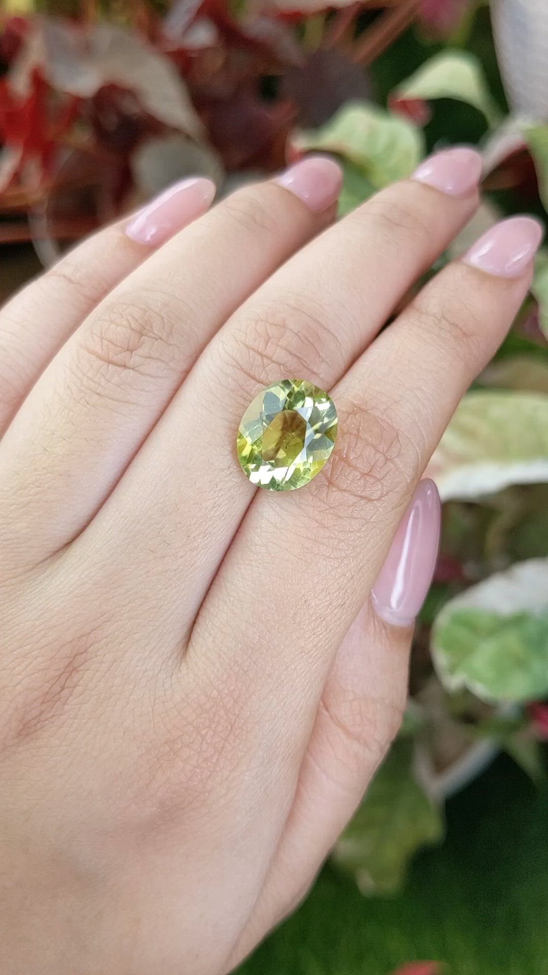 6.49 Ct. Yellowish Green Prasiolite from Brazil Size Video