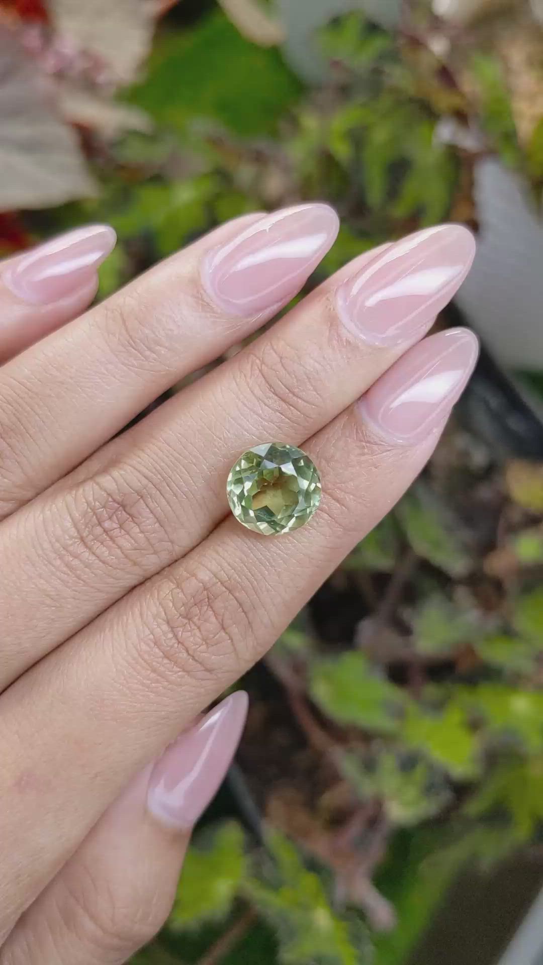 5.56 Ct. Yellowish Green Prasiolite from Brazil Size Video