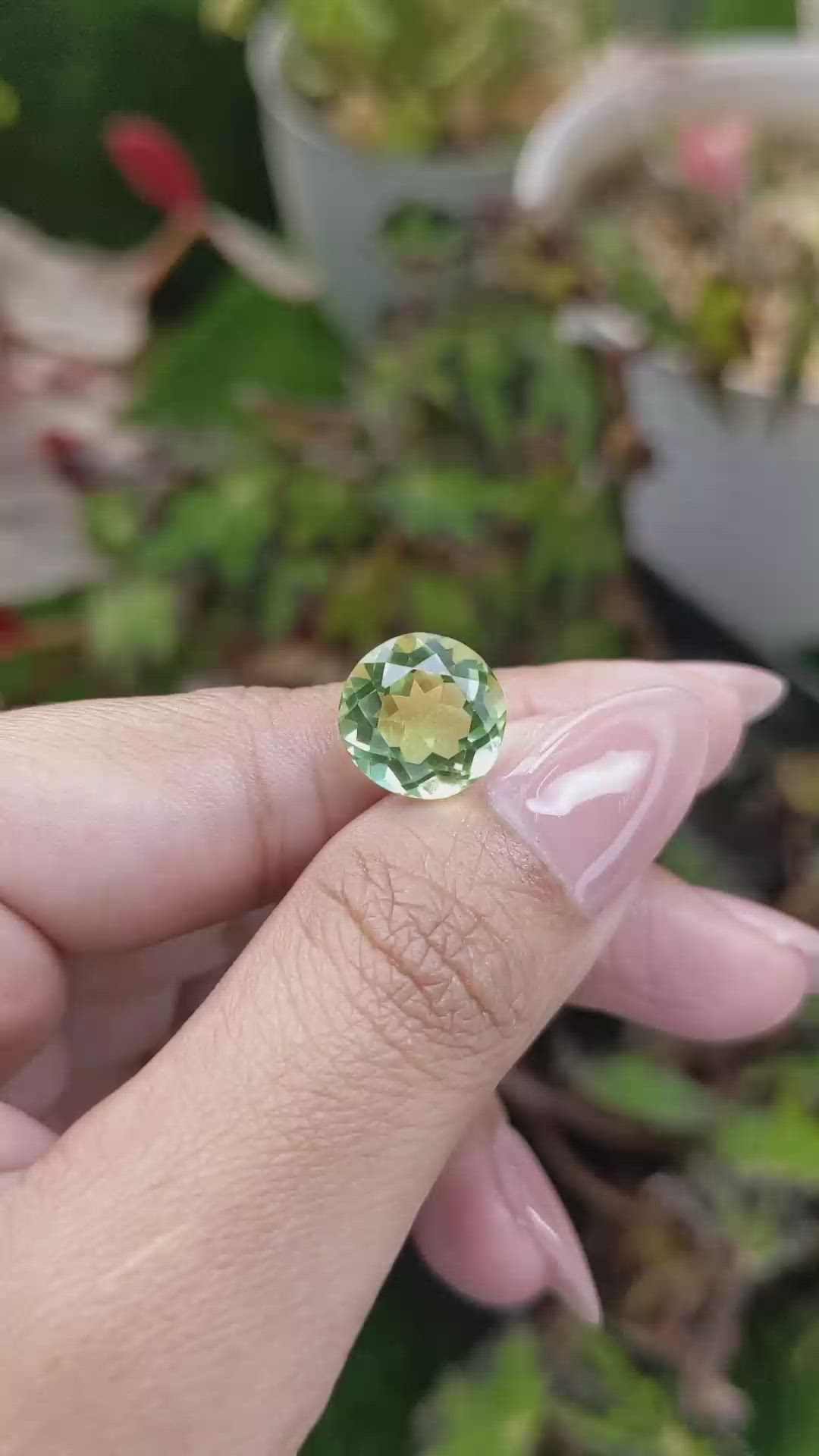 5.57 Ct. Yellowish Green Prasiolite from Brazil Size Video