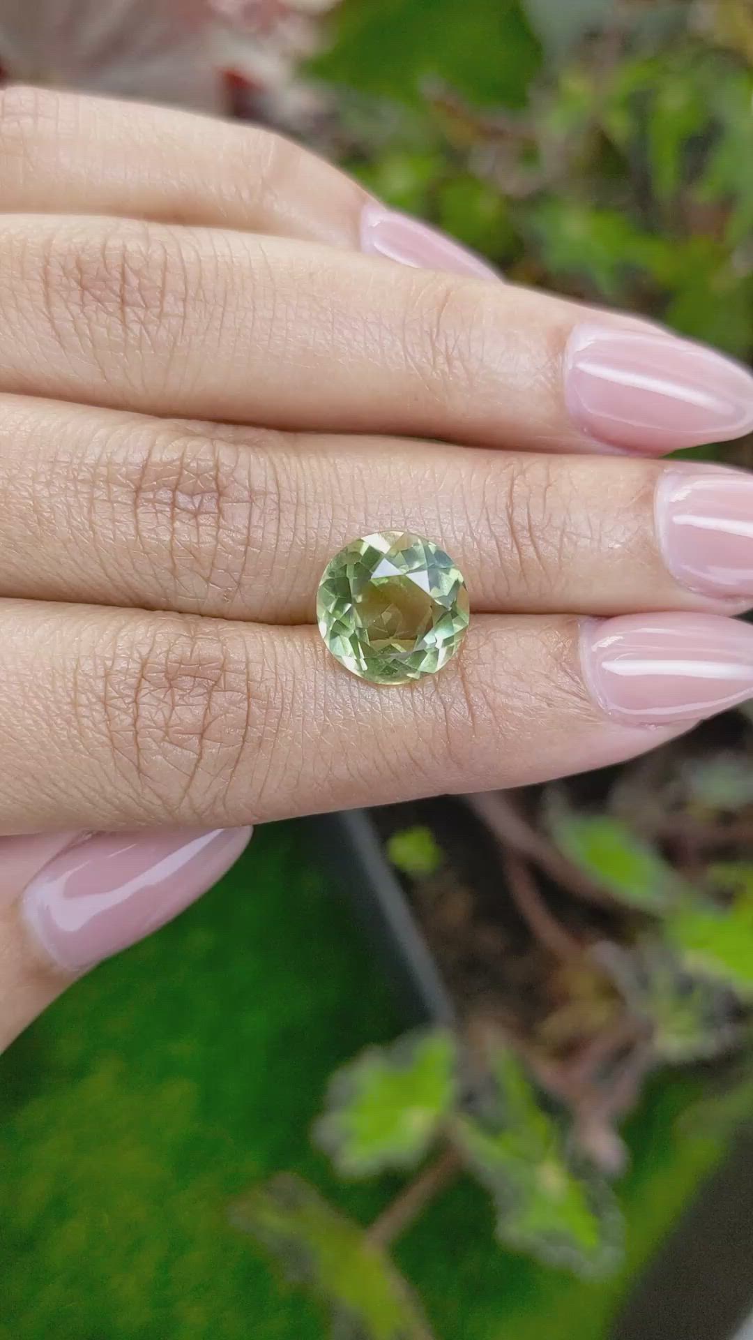 5.77 Ct. Yellowish Green Prasiolite from Brazil Size Video