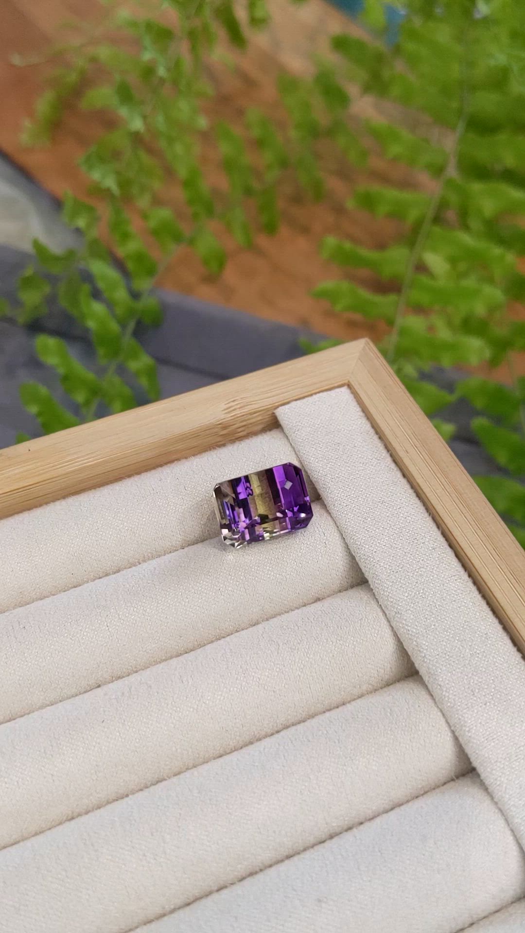 11.58 Ct. Bi Color Ametrine from Madagascar Size Video