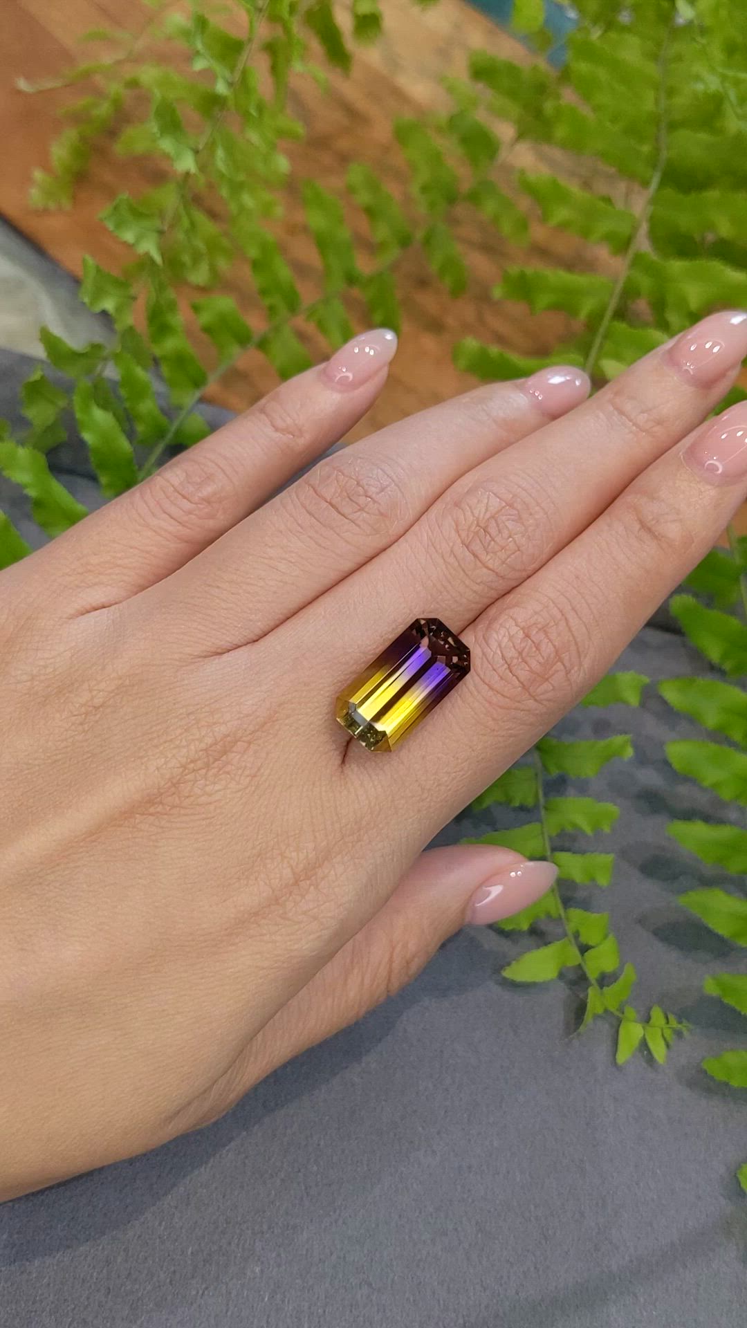 11.36 Ct. Bi Color Ametrine from Madagascar Size Video