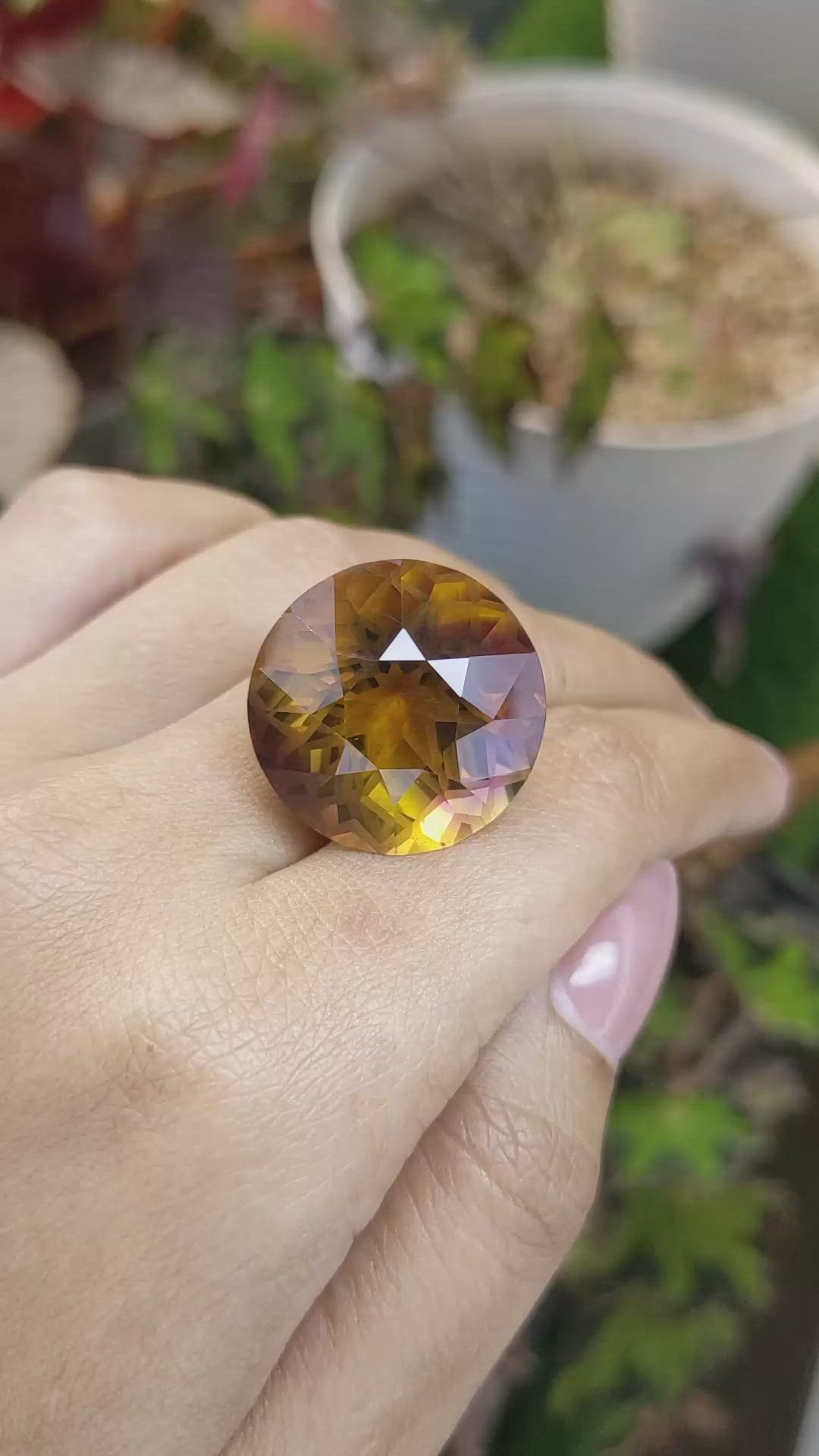 37.14 Ct. Bi Color Ametrine from Brazil Size Video