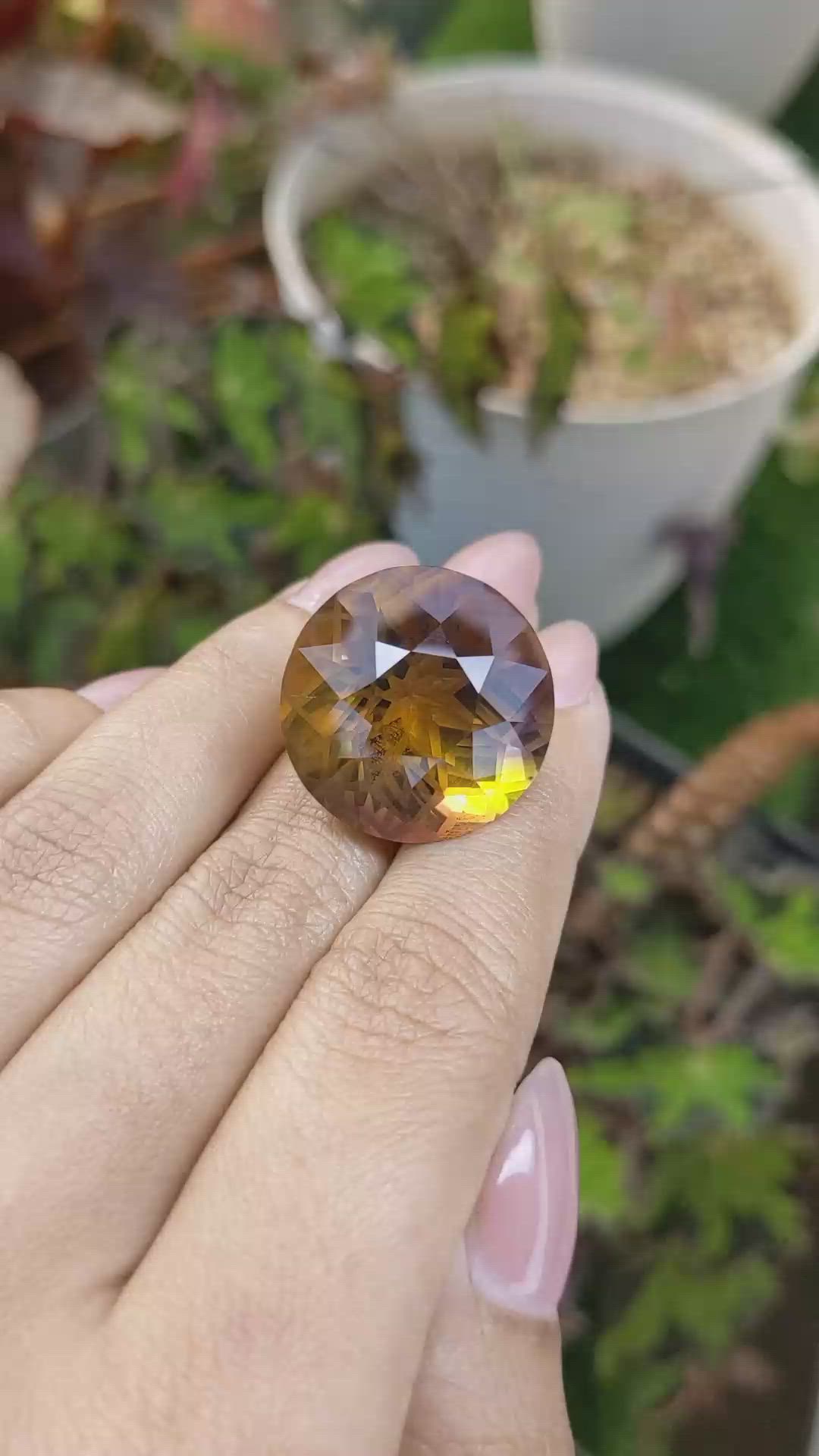 37.14 Ct. Bi Color Ametrine from Brazil Size Video
