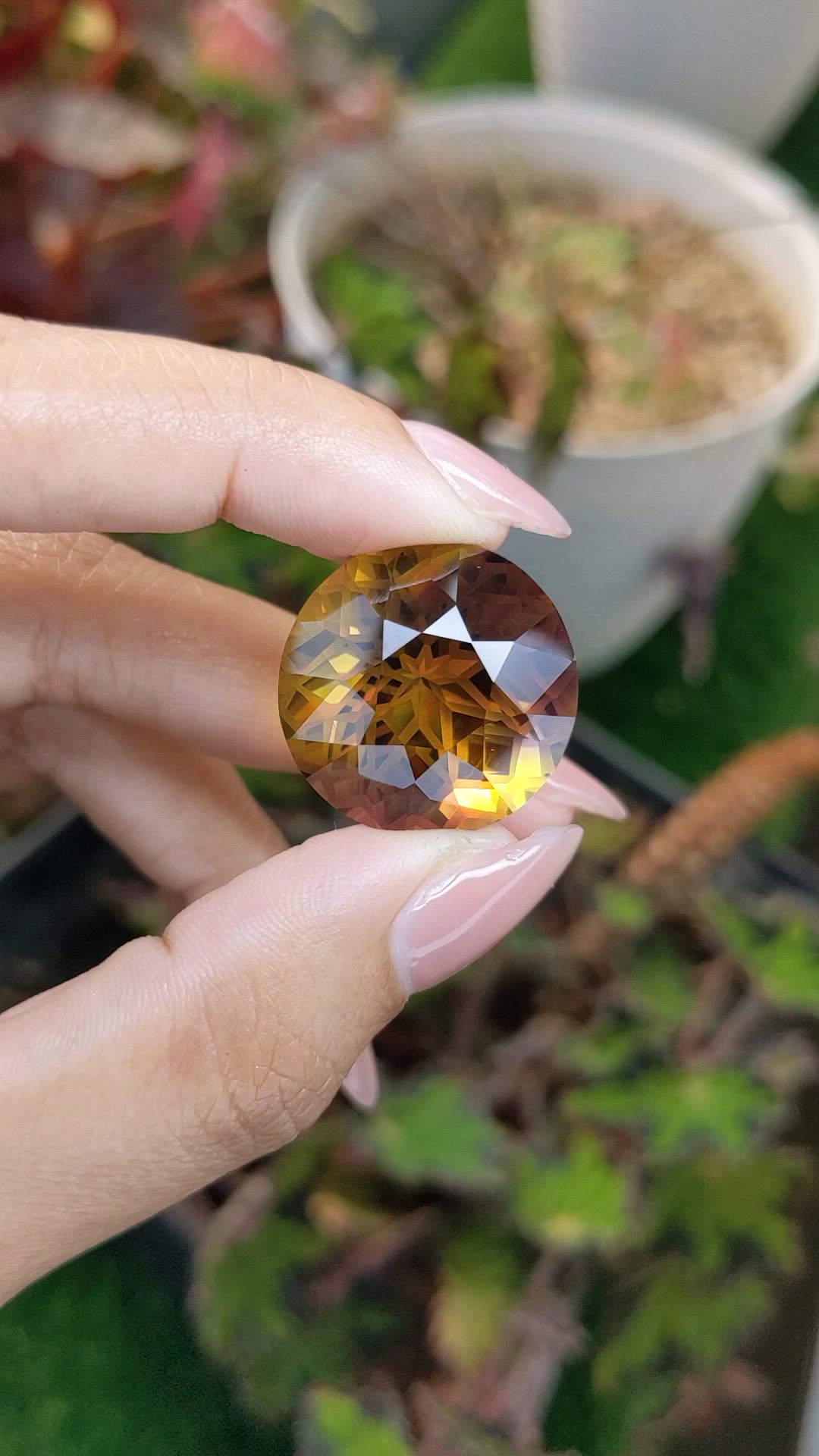 37.14 Ct. Bi Color Ametrine from Brazil Size Video
