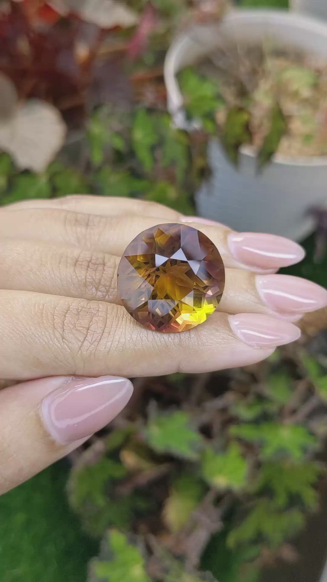37.14 Ct. Bi Color Ametrine from Brazil Size Video